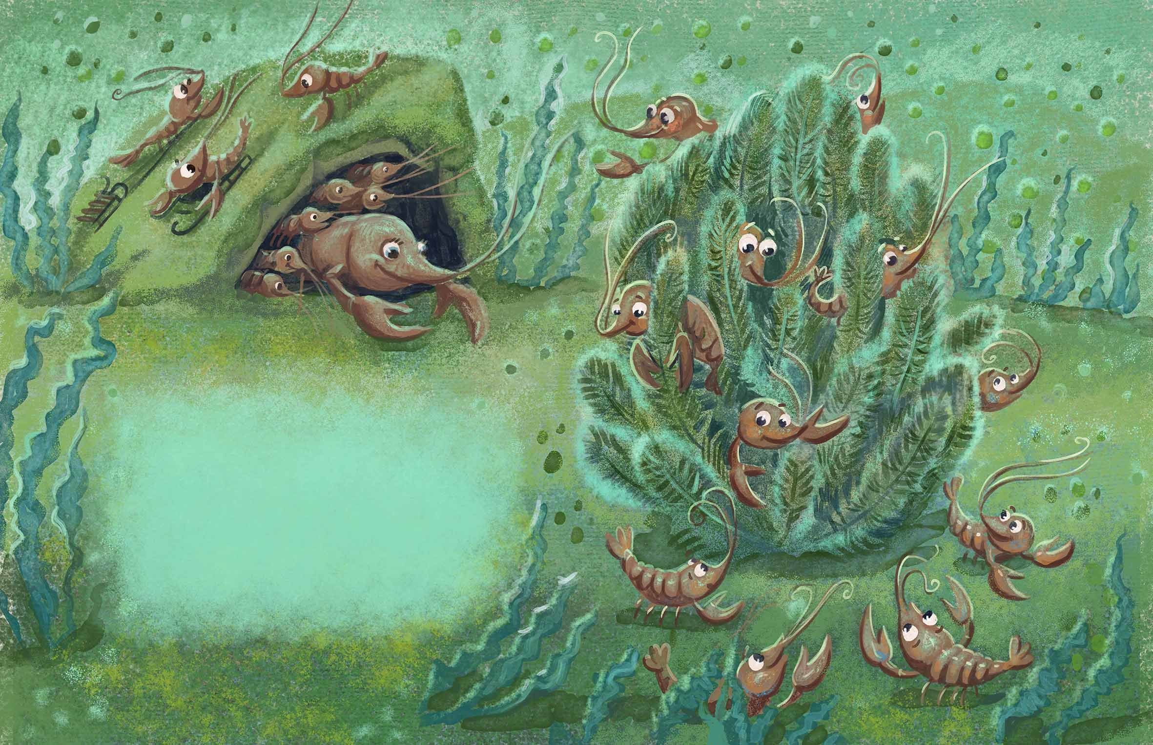 Where the crayfish hibernate. Анна Гантимурова иллюстратор, театральный видеохудожник мультипликатор