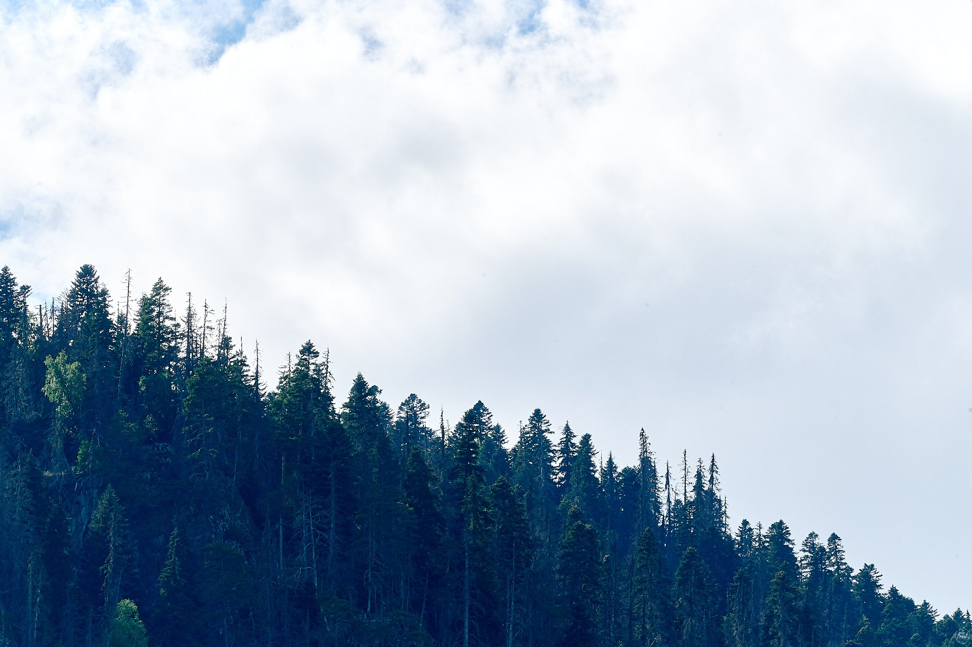 Домбай август 2024. Фотографии отовсюду и обо всем