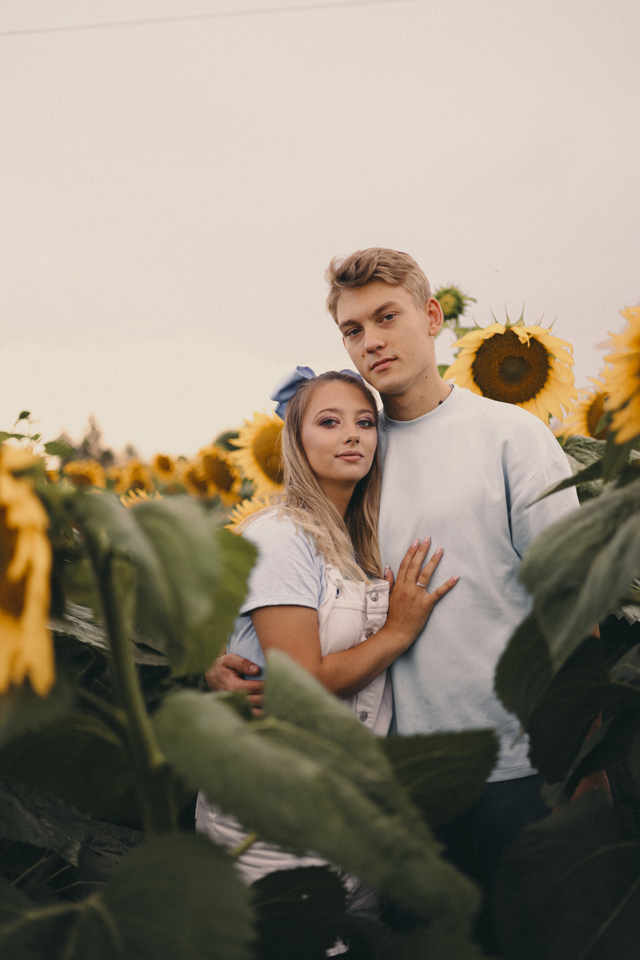 Михаил и Валерия | Подсолнухи. Фотограф Мария Лаенко