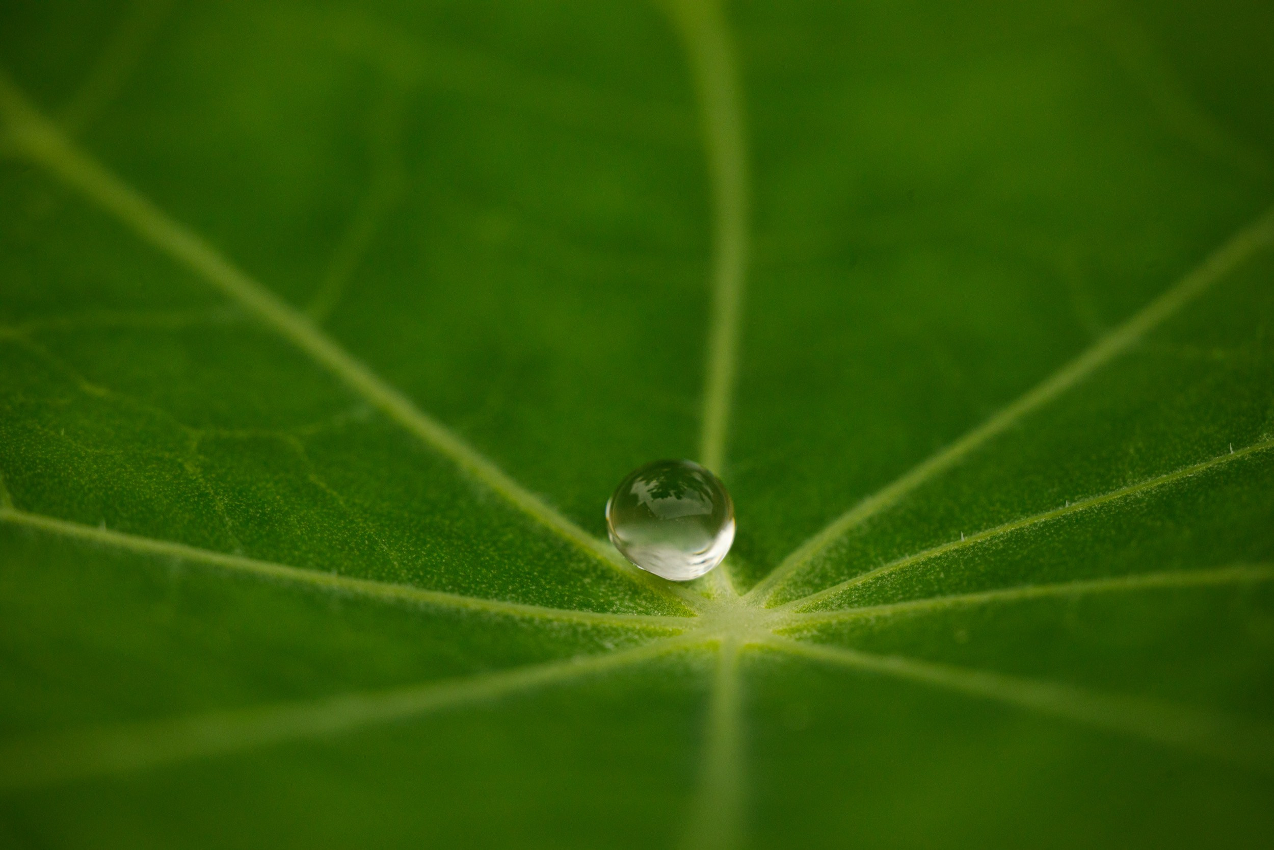 Фотохудожник Андрей Лагунов