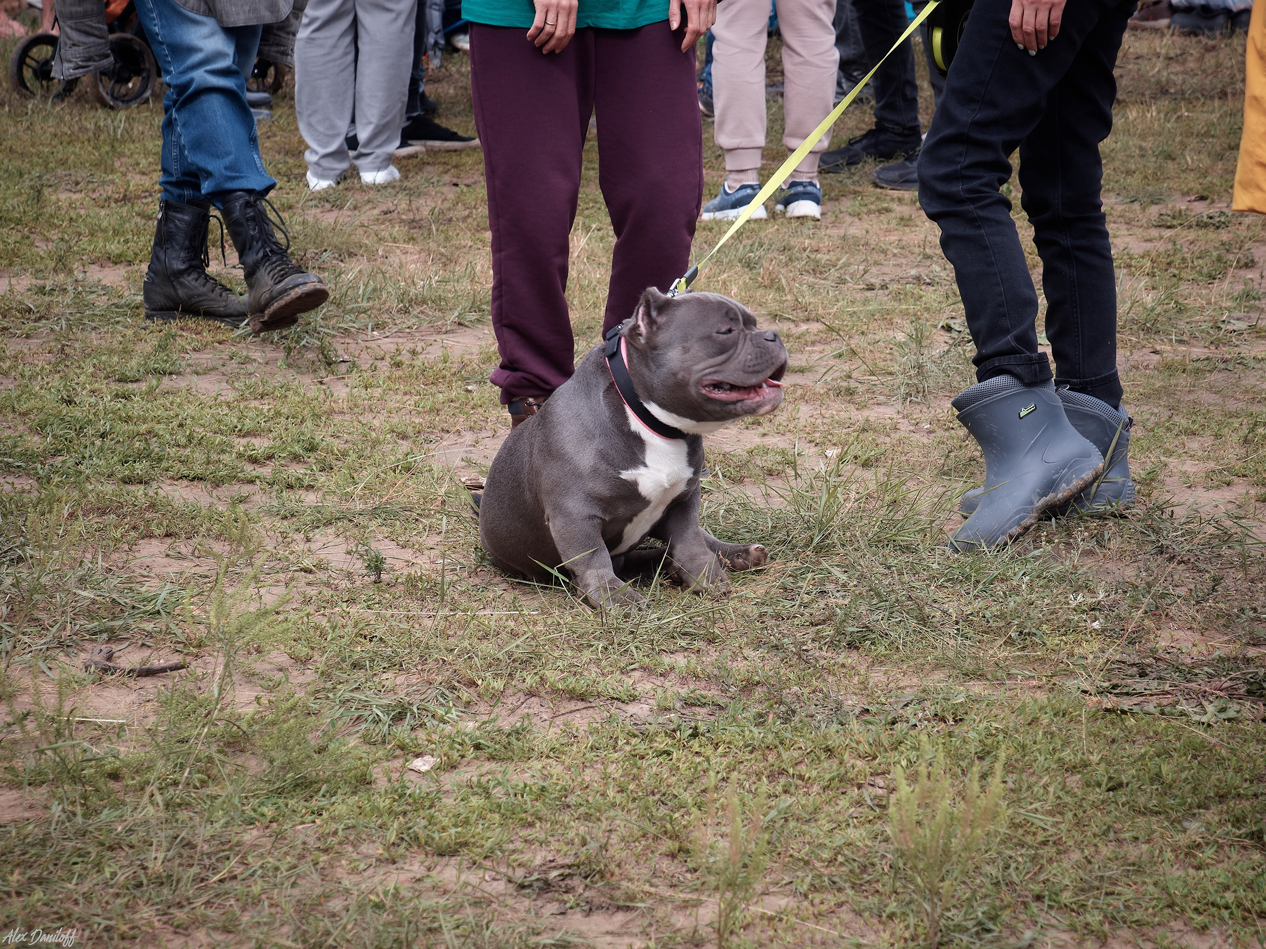 X-Waters Муром 2025. Муром-Инфо. Новости культуры, образования, спорта в городе Муром
