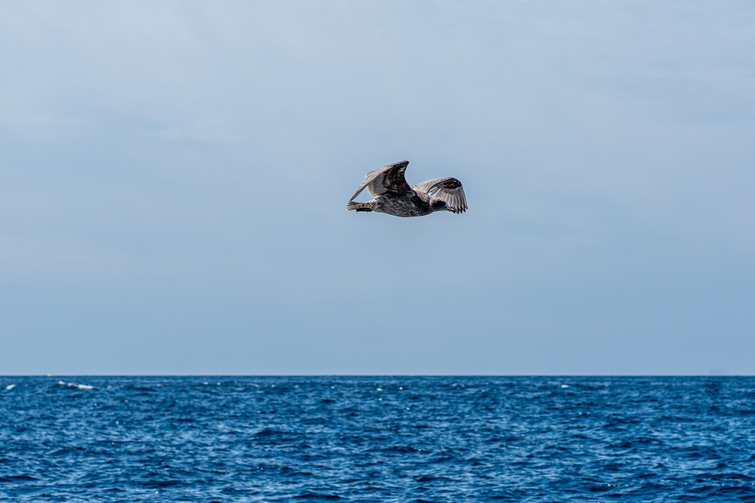 Сахалин 2025. Творческие сьемки