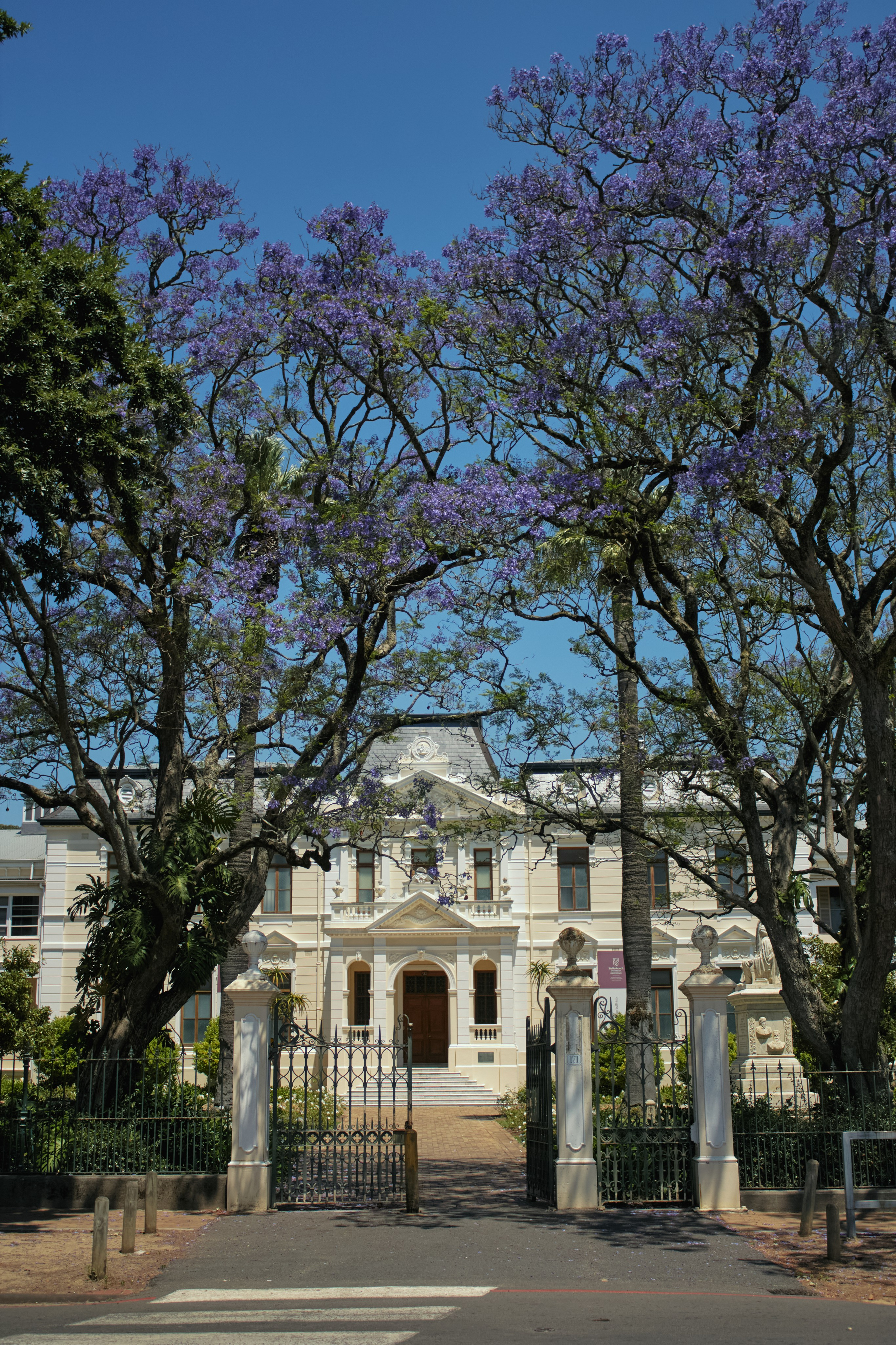 ЮАР. Профессиональный Фотограф во Владимире, в Москве и в Суздале — Полина Романычева