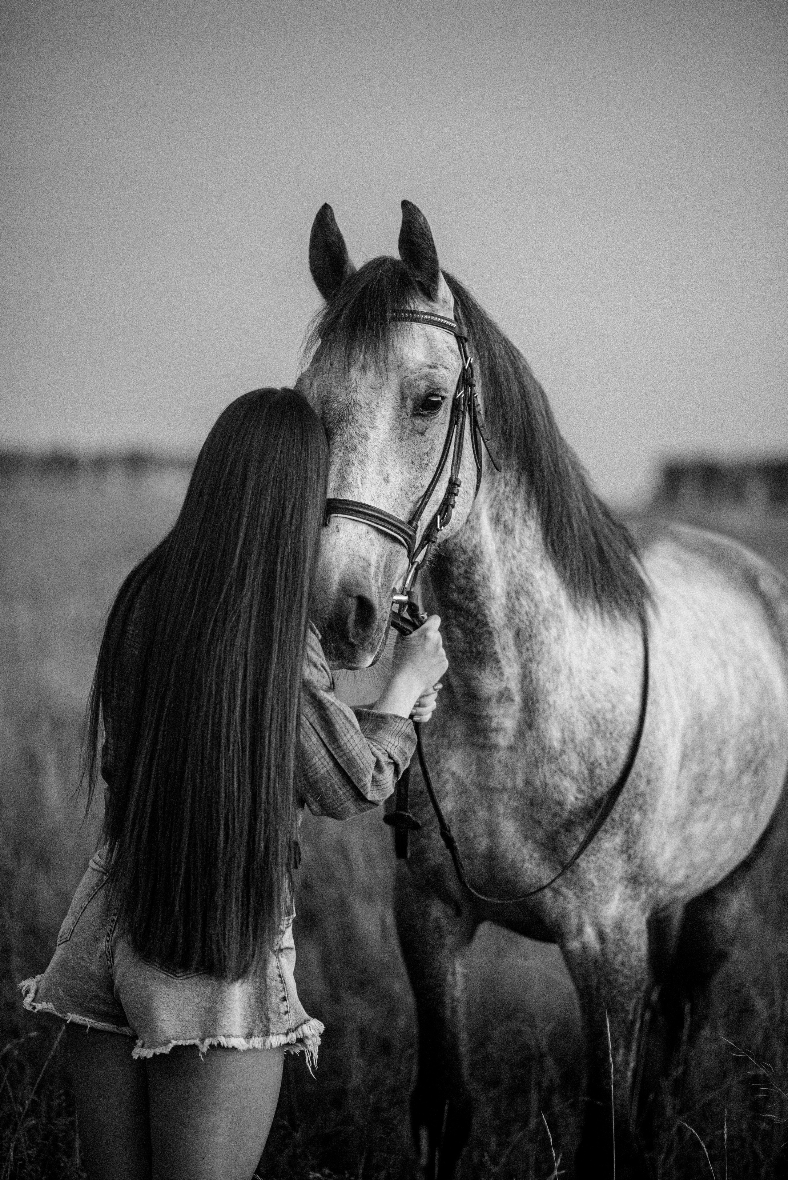 Вероника и Дакар — 23.09.2024. Фотограф — Анималист | Анна Абрамова