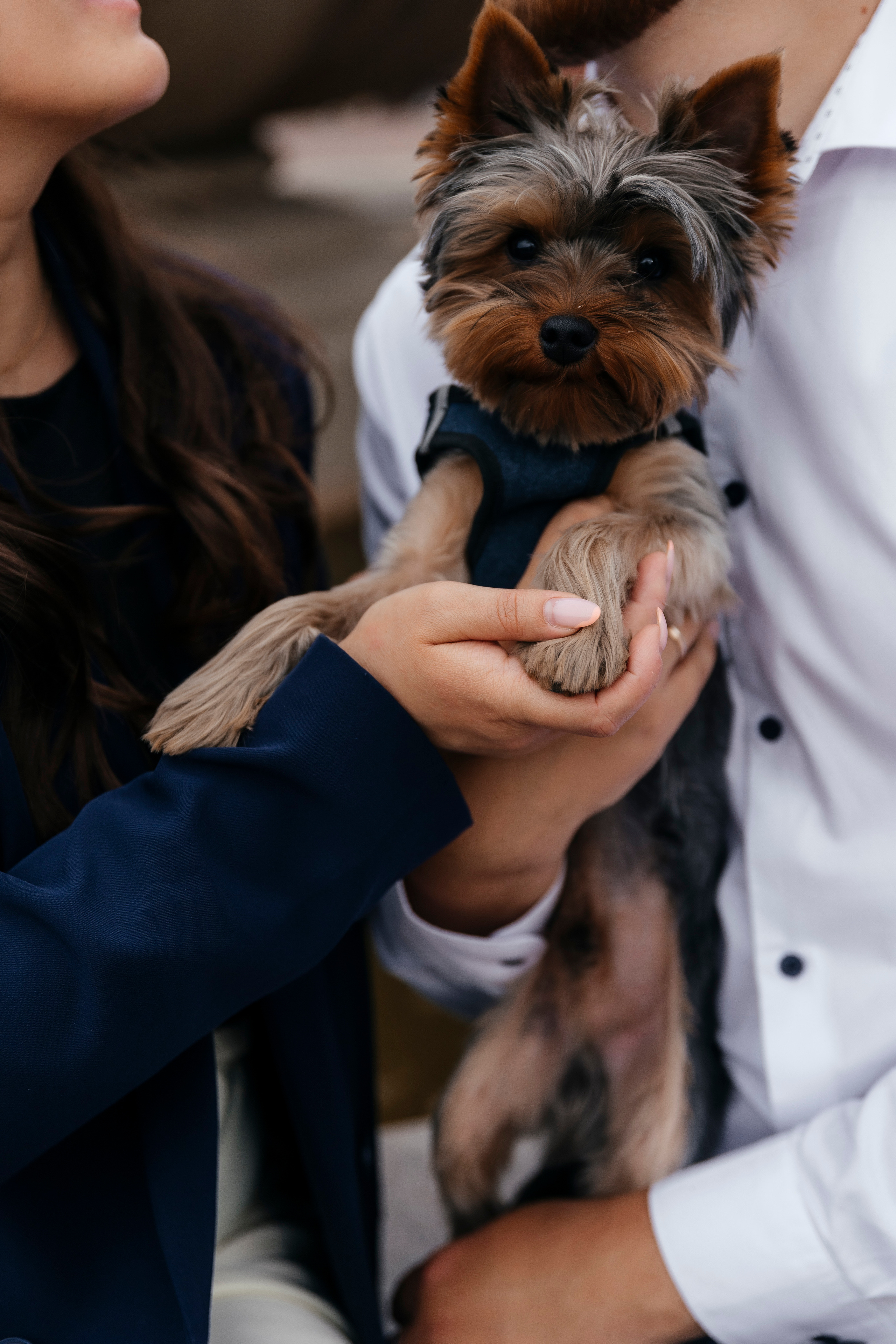 Anton&Nastya. Свадебный и портретный фотограф в Калининграде Наталия Еник