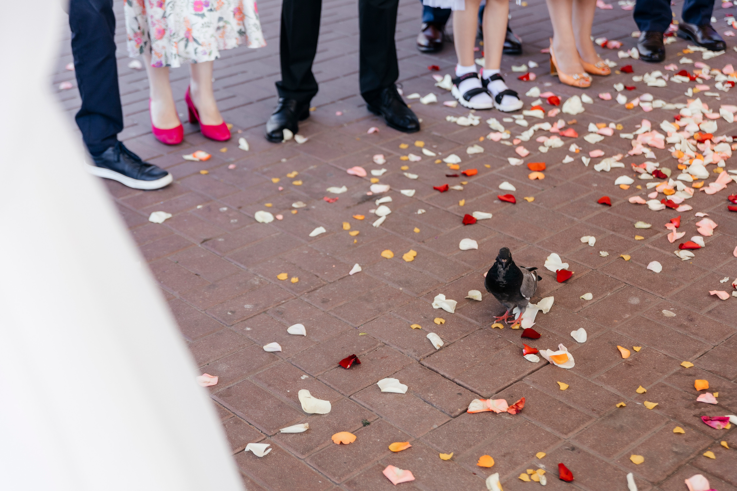 Kristina&Vadim. Свадебный и портретный фотограф в Калининграде Наталия Еник