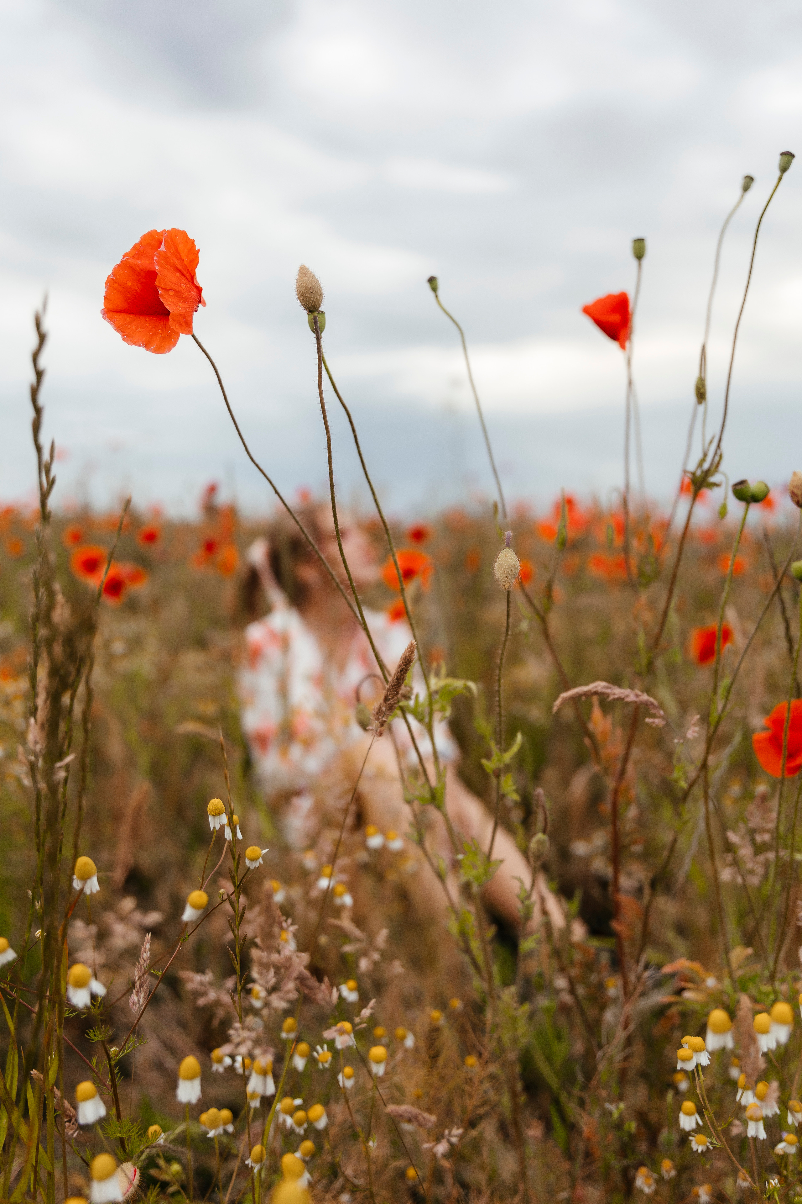 Ksyusha. Свадебный и портретный фотограф в Калининграде Наталия Еник