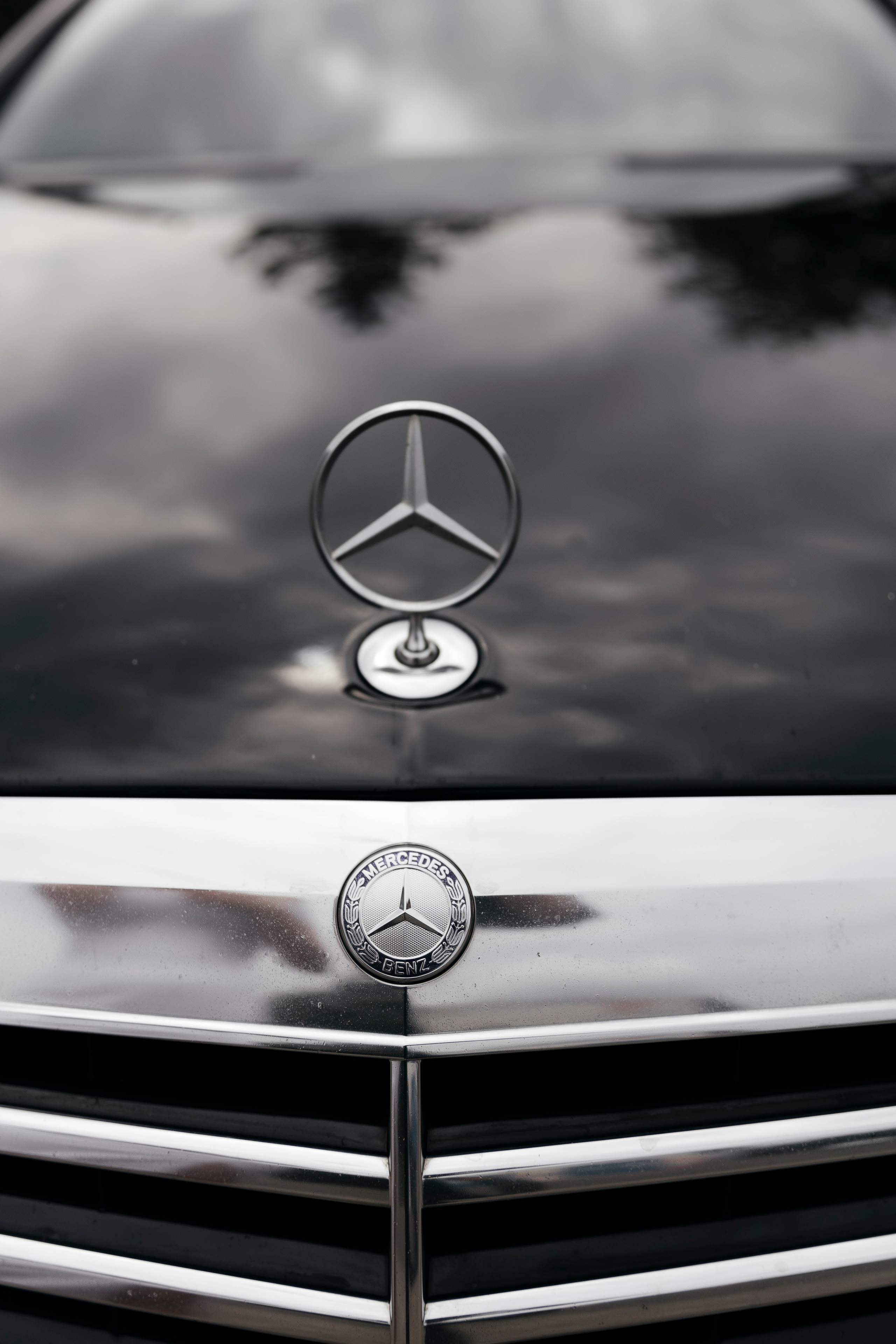 Alina&Maxim. Свадебный и портретный фотограф в Калининграде Наталия Еник