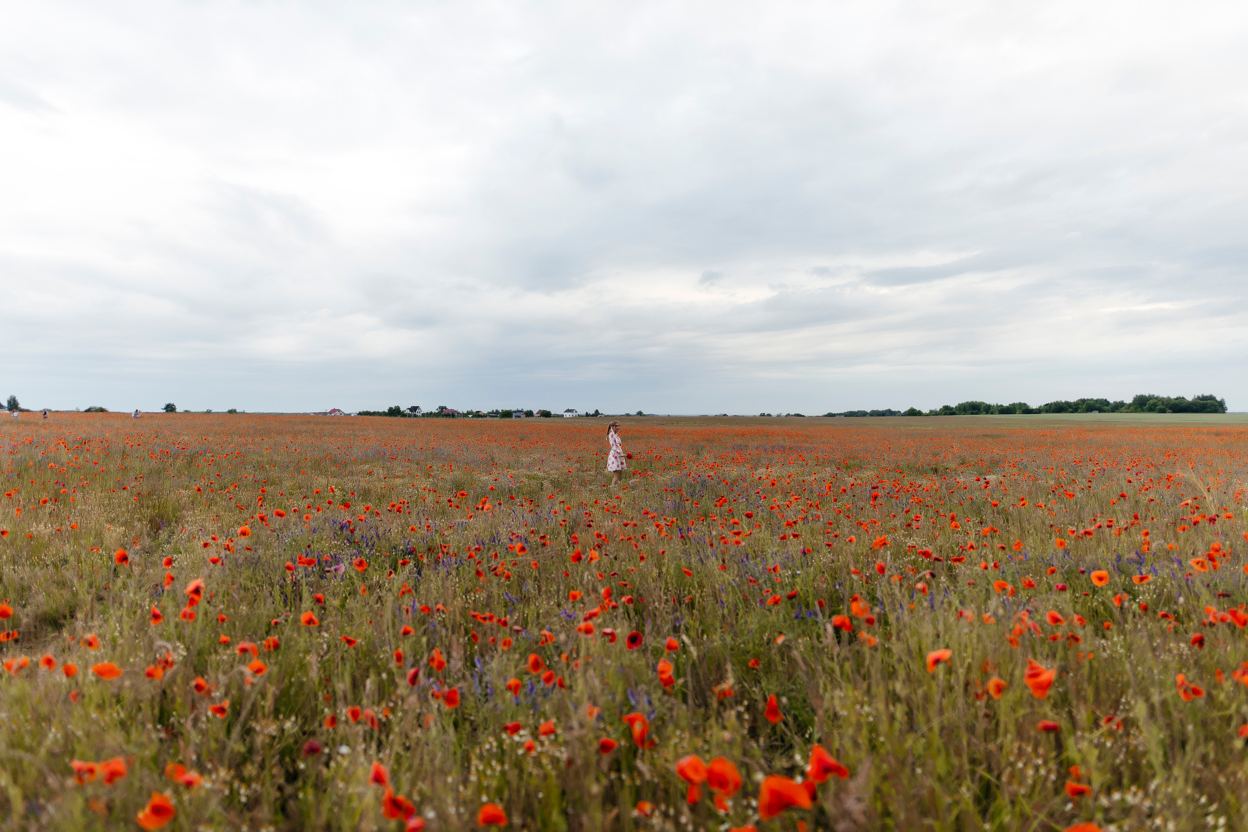 Ksyusha. Свадебный и портретный фотограф в Калининграде Наталия Еник