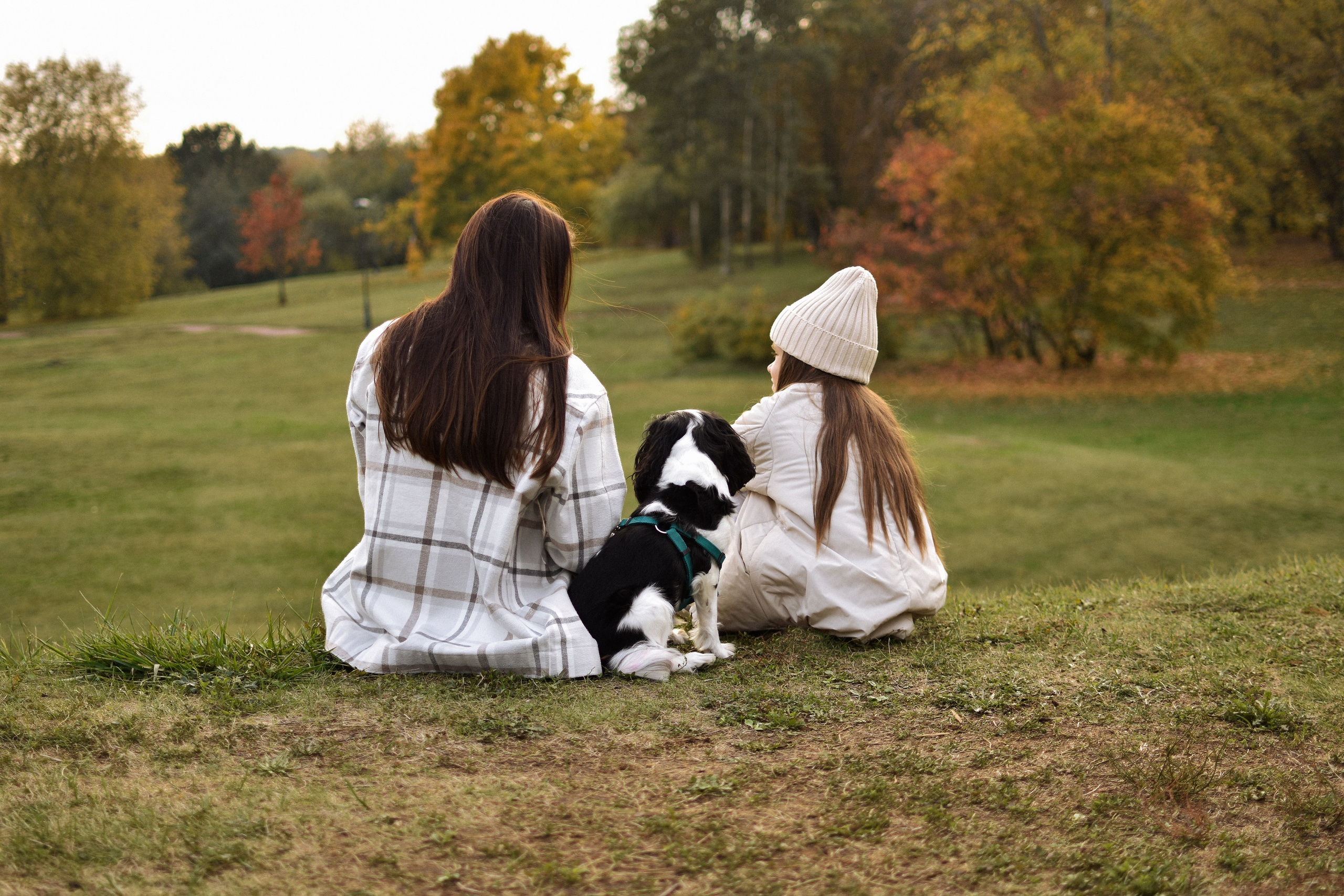 Молли, Кристина и Полина. Фотограф-анималист Ксения Шевцова|Москва