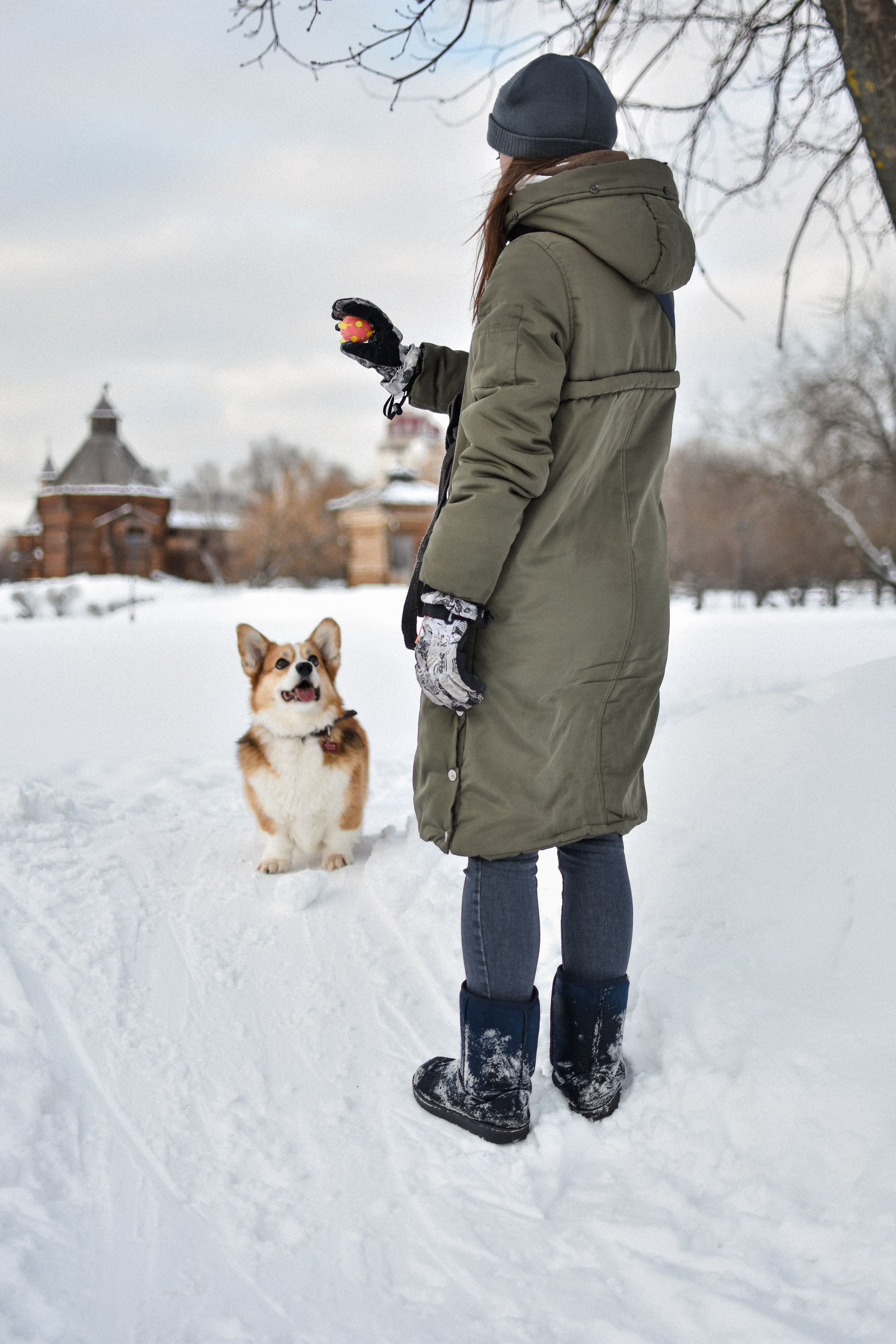 Алекс и Вера. Фотограф-анималист Ксения Шевцова|Москва