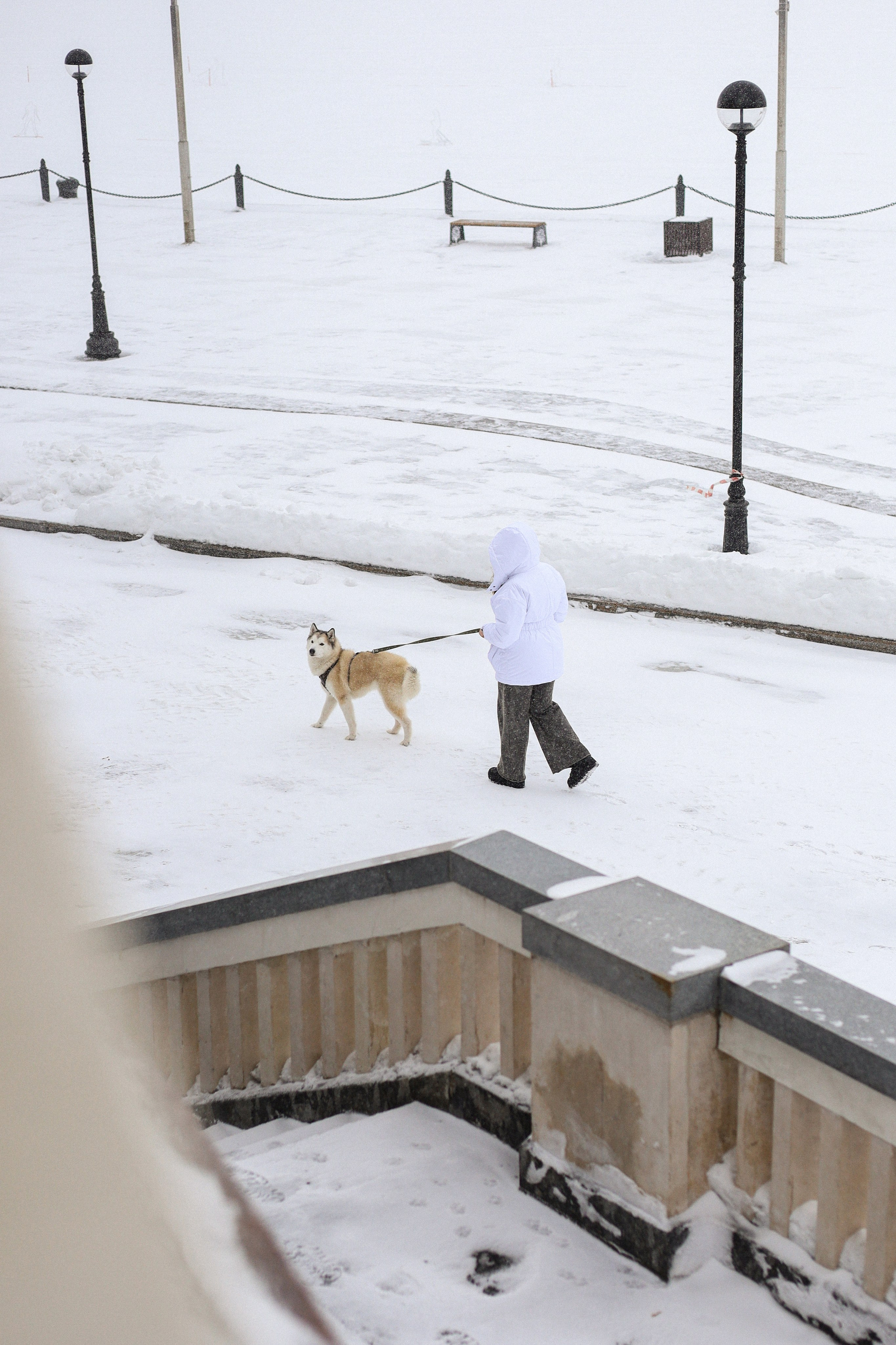 Мила, Лиза и Матвей. Фотограф-анималист Ксения Шевцова|Москва