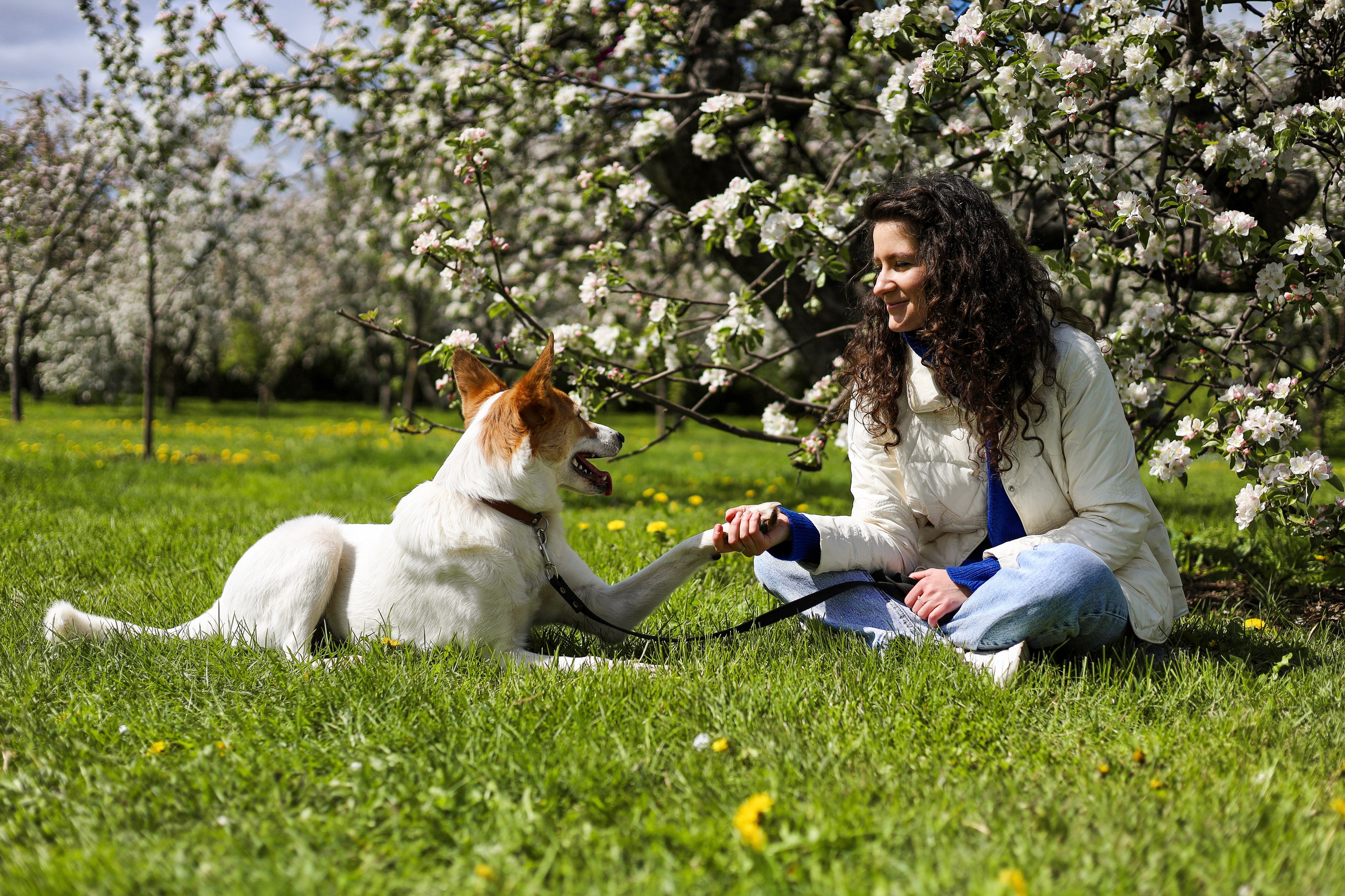Лучик и Аня. Фотограф-анималист Ксения Шевцова|Москва