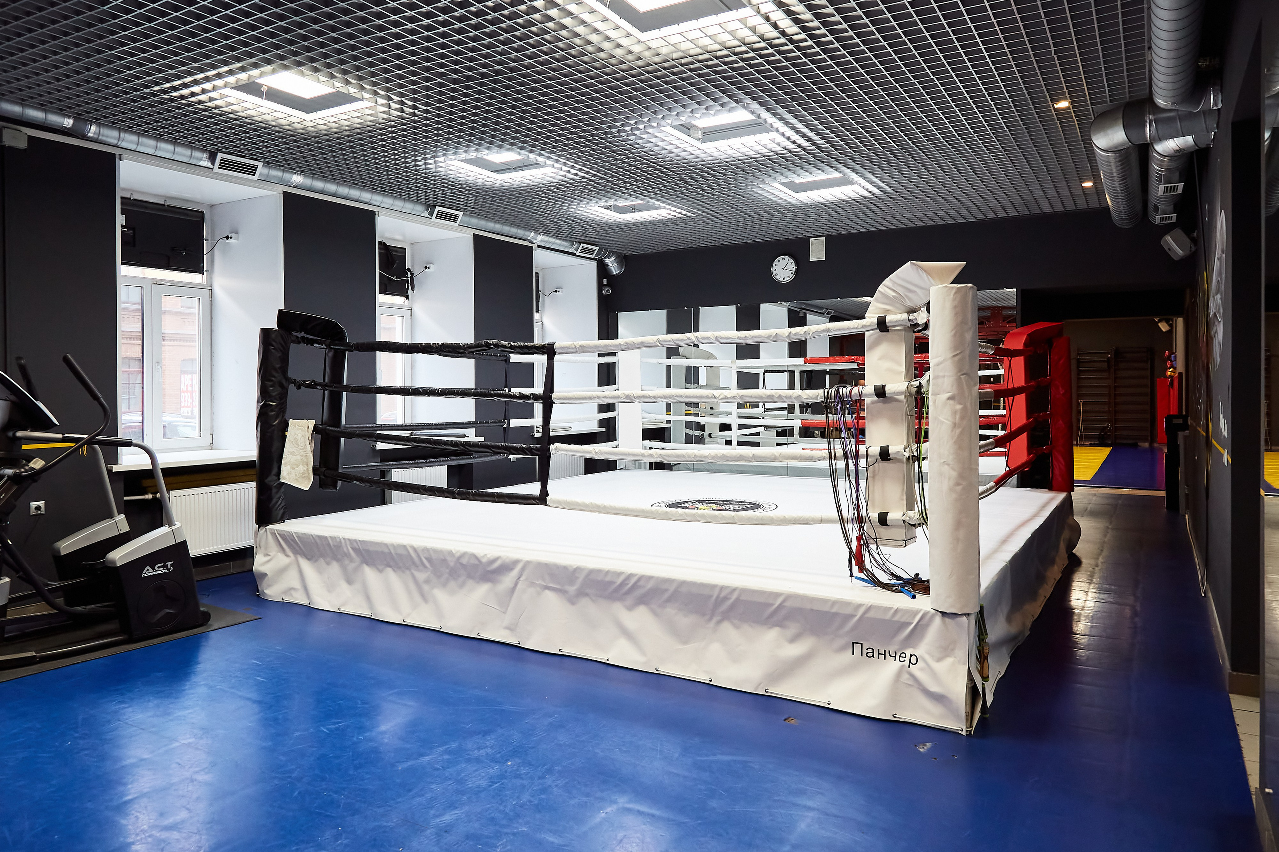 Бойцовский клуб Панчер. Фотограф Анастасия Леонтьева Санкт-Петербург