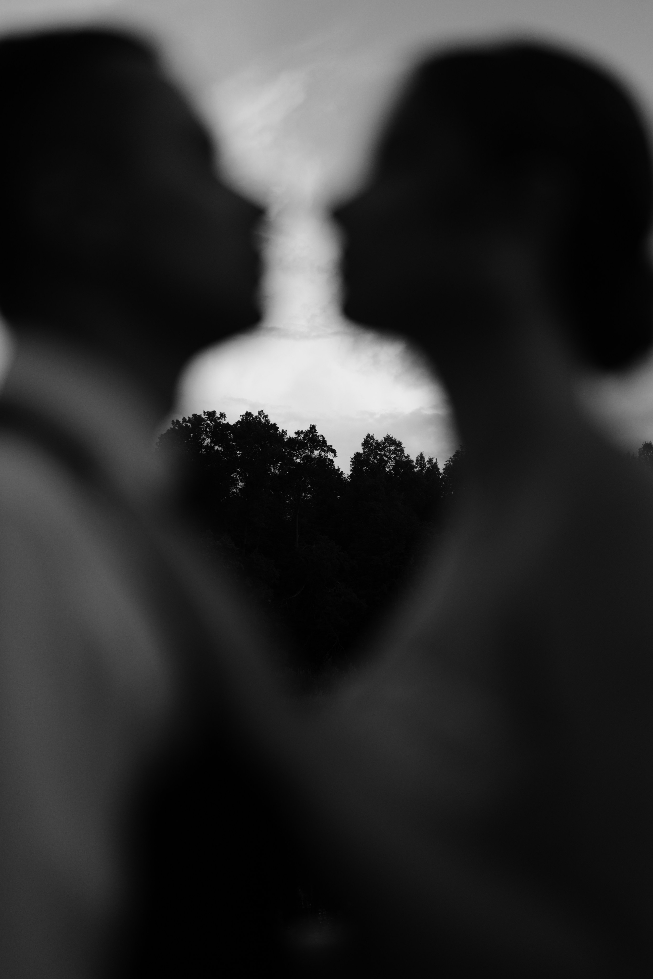 Свадьба Владислава и Елены. Фотограф Кольчугино/Владимир/Москва Елизавета Иода