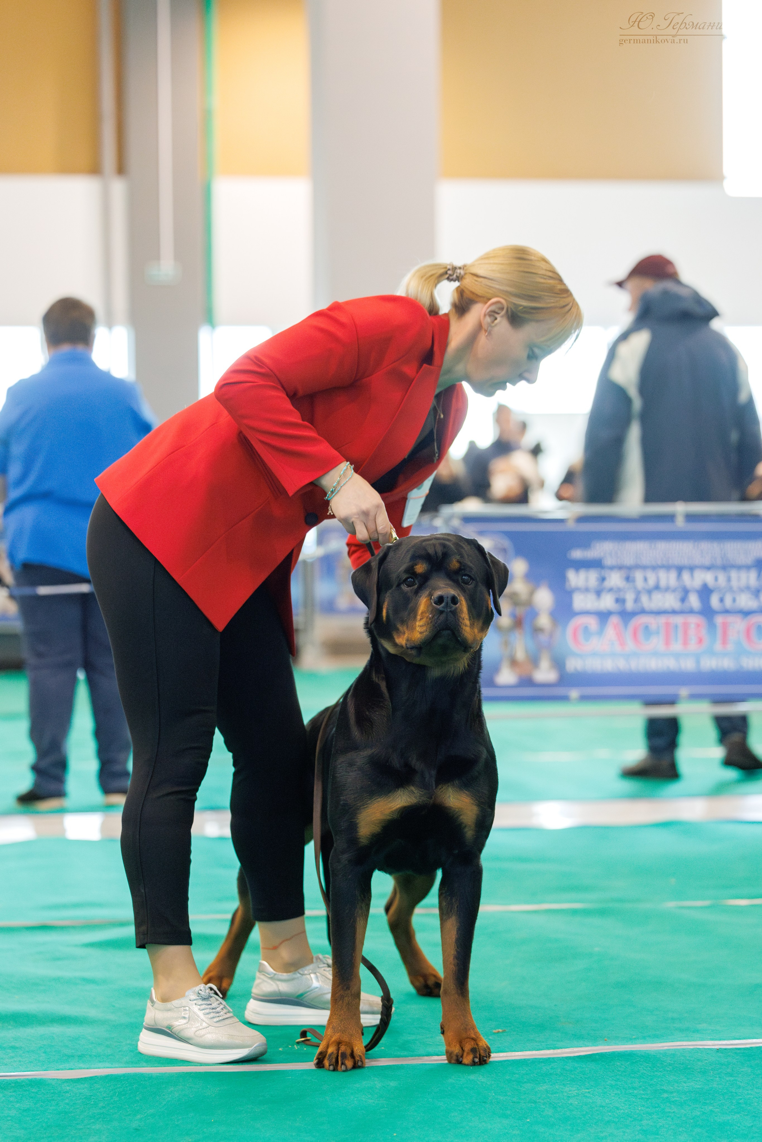 Минск 23.11.2024. Фотограф-анималист Юлия Германика