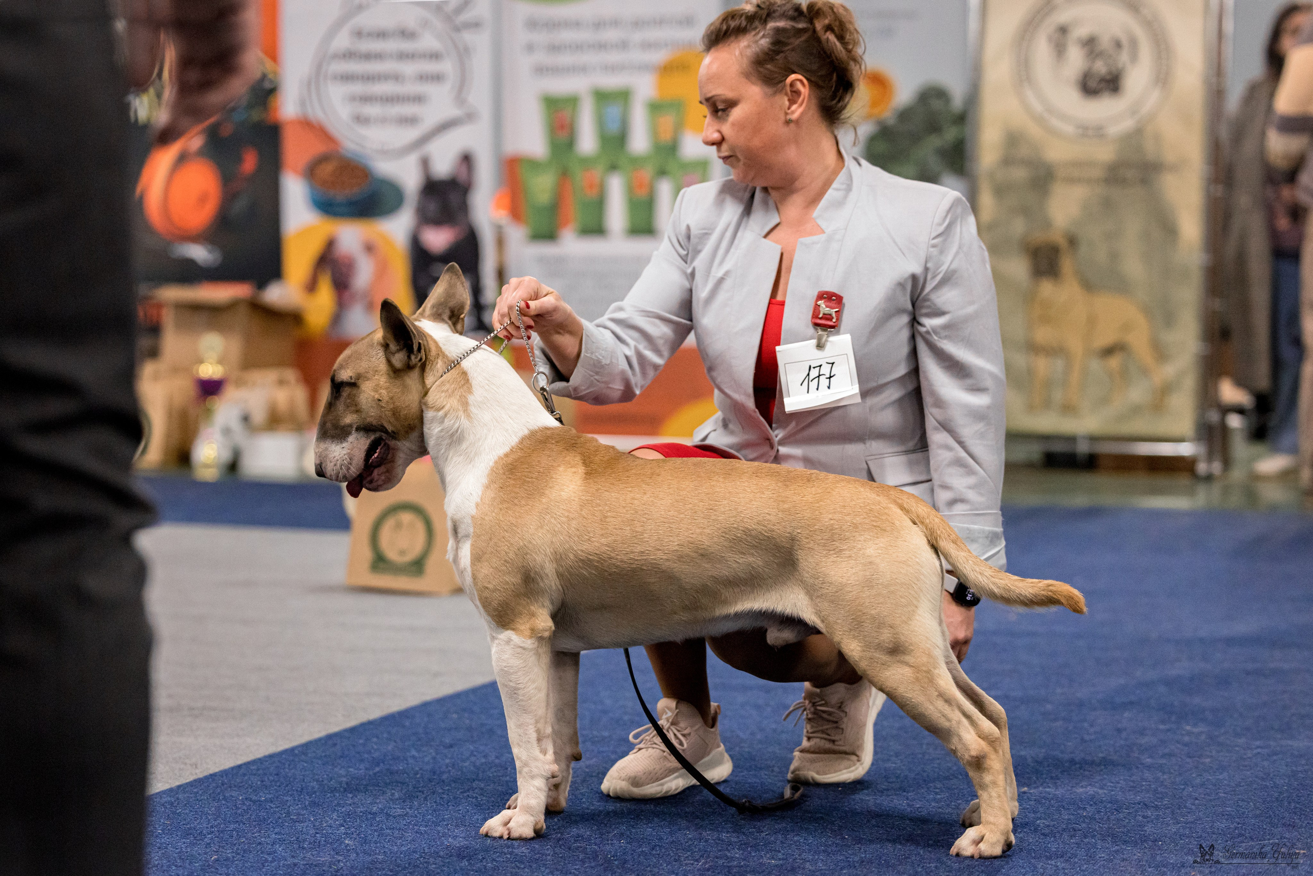 Сфера 29.10,Крокус 4.11,Сфера 12.11.2023. Фотограф-анималист Юлия Германика