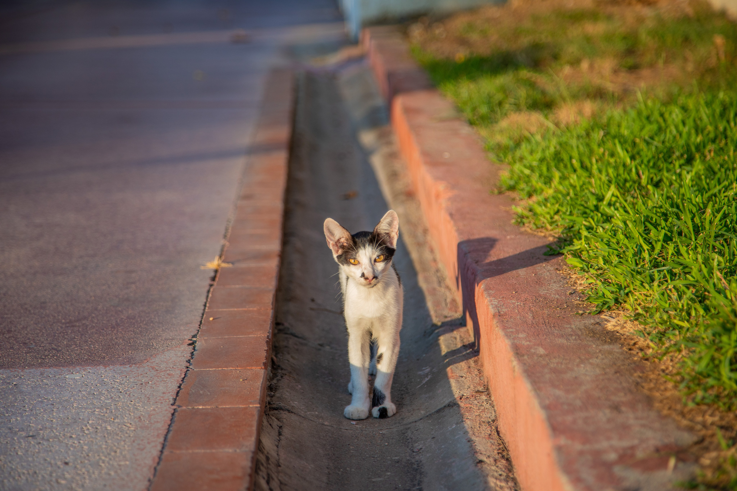 Про жизнь. Фотограф Сергей Ловкий