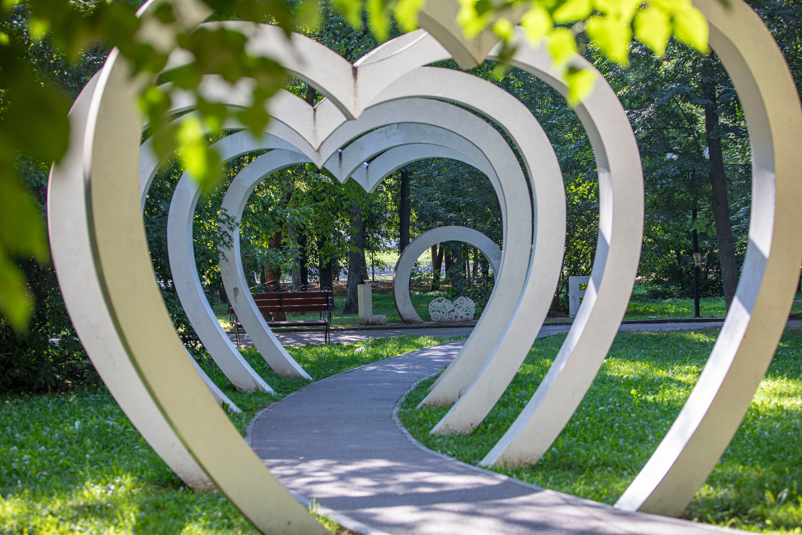 Дай 5, Иваново, 12 августа 2023 г. Фотограф Сергей Ловкий