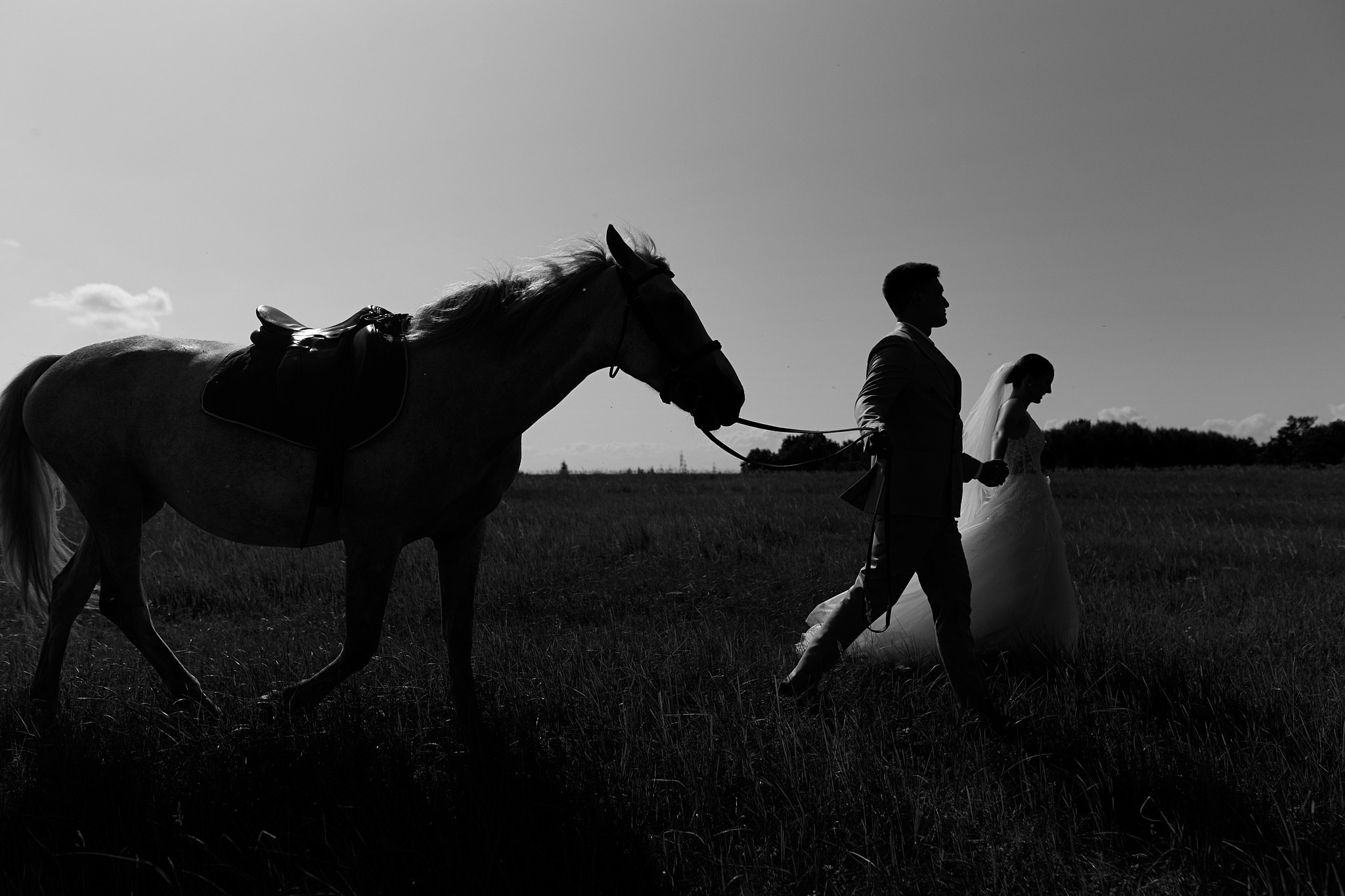 Свадьба Линара и Динары. Свадебный фотограф в Ульяновске Александр Никитин