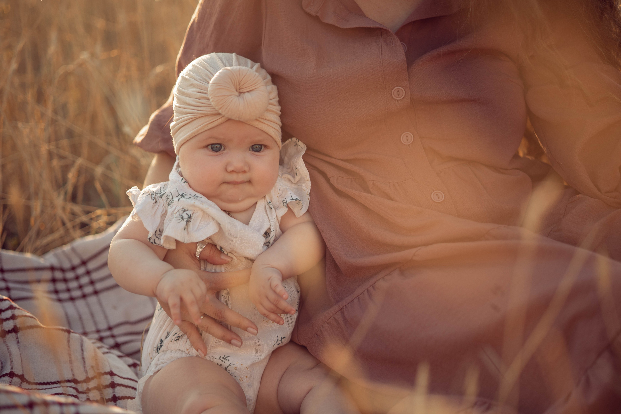 Пшеница. Главная