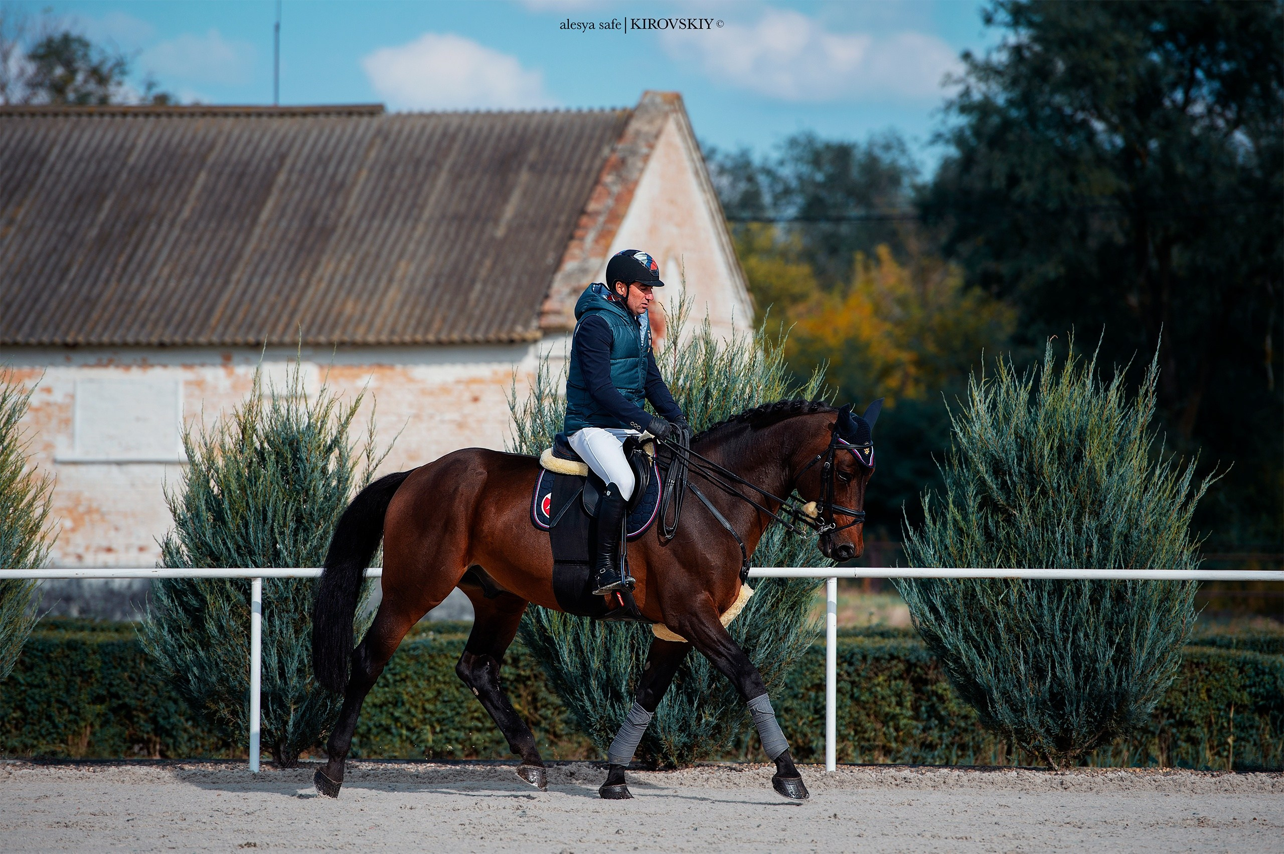 Кировский конный завод. Конный фотограф Alesya Safe