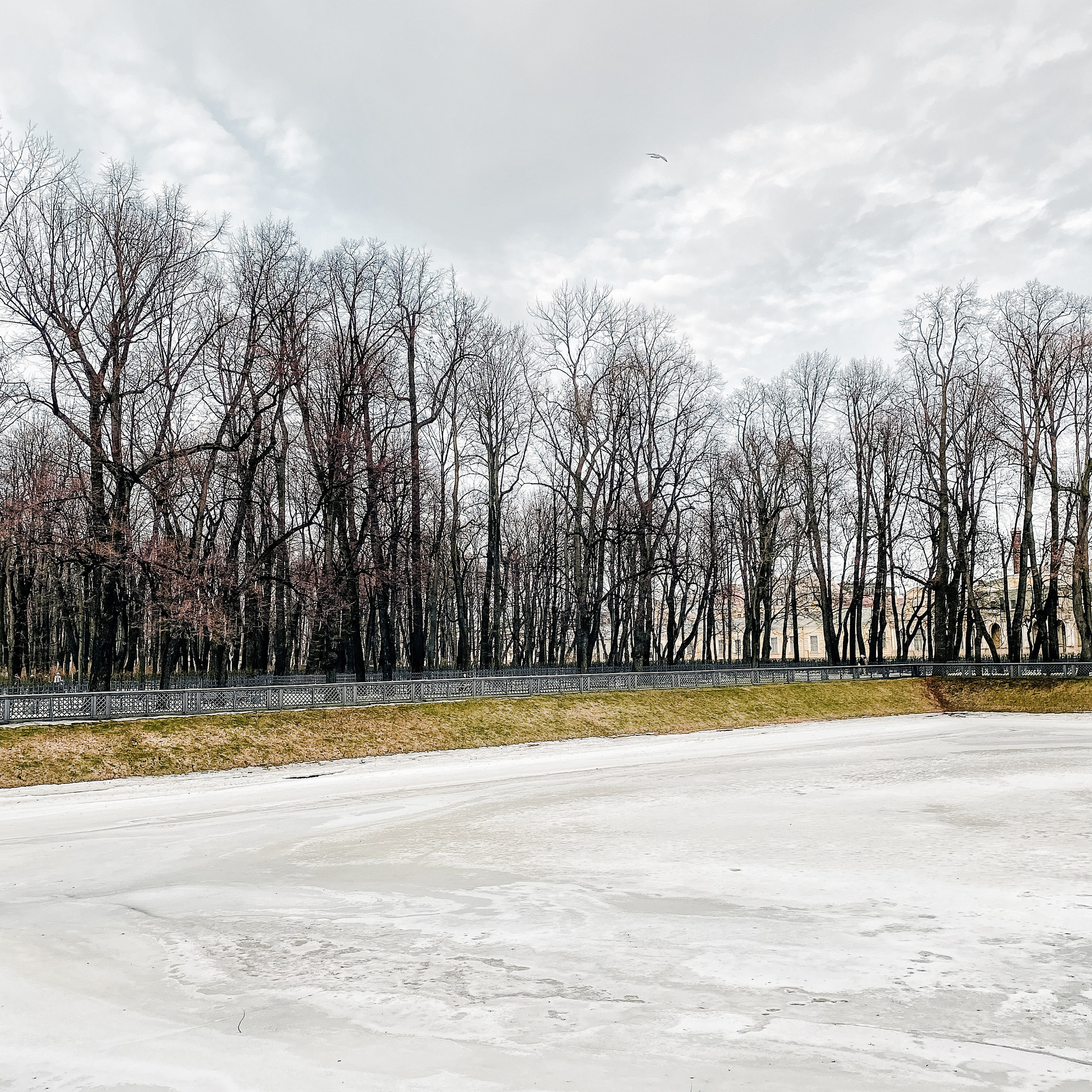 Presets. Фотограф в Санкт-Петербурге Роман Петров