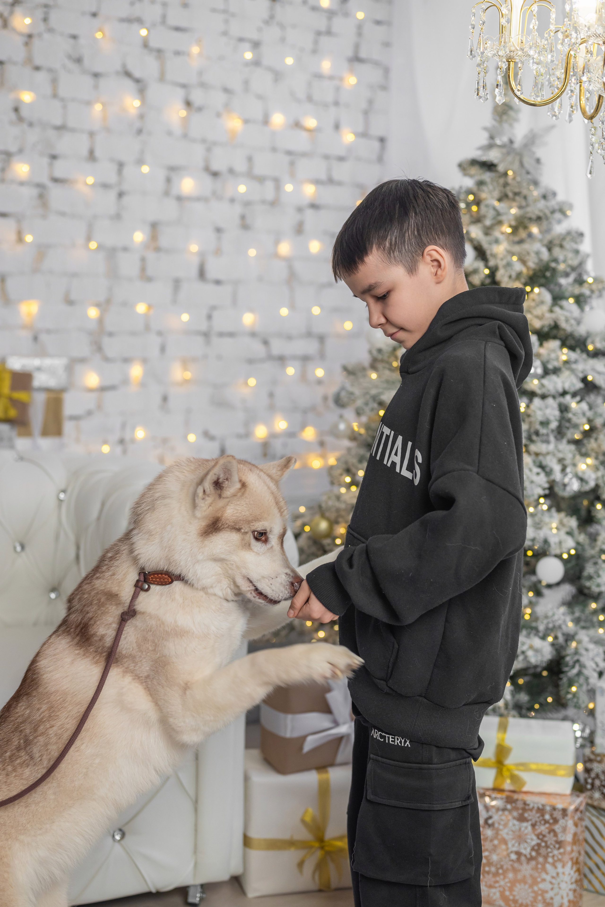 Фотопроект с хаски. Фотограф в городе Салават