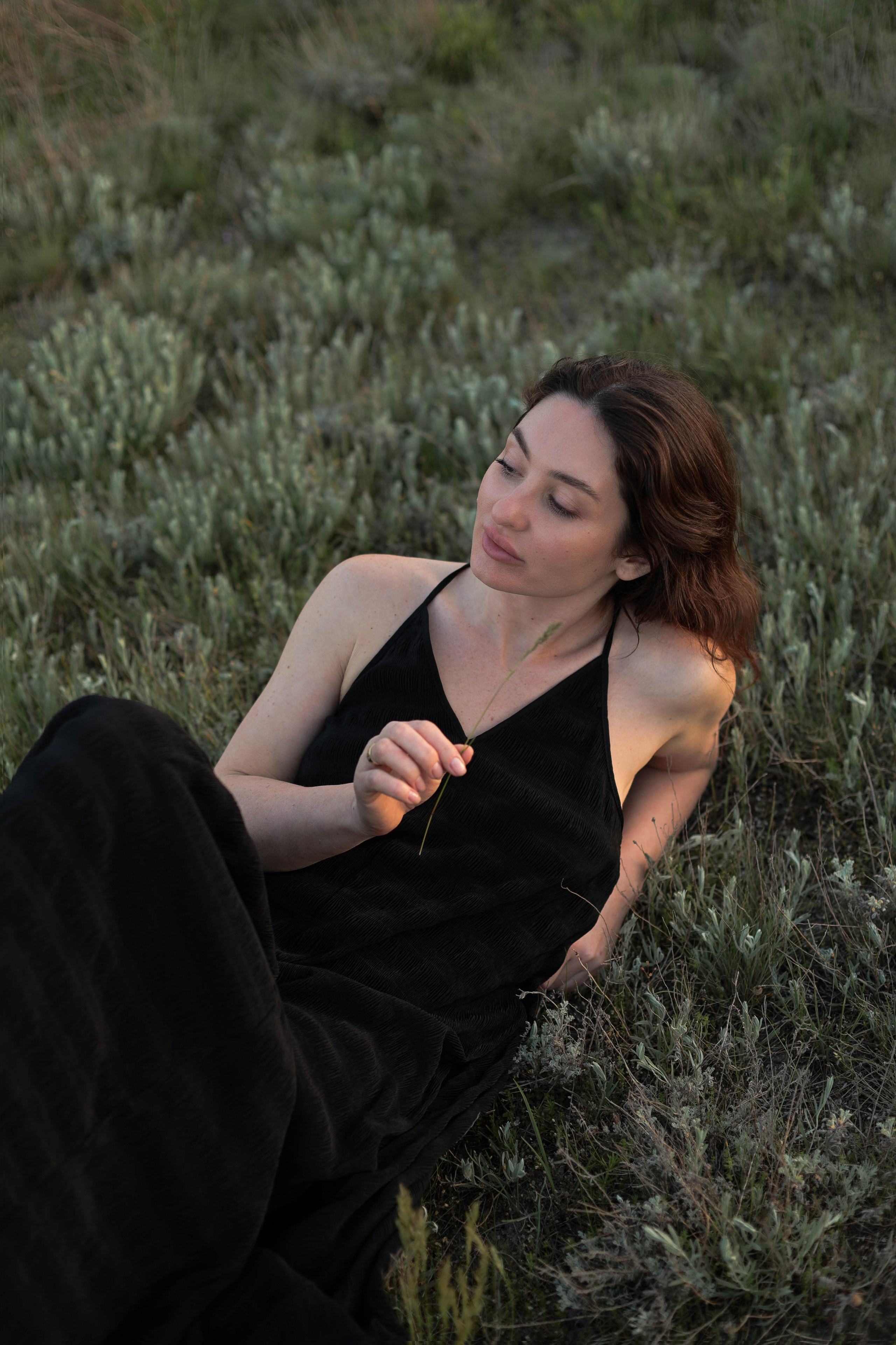 Шепот трав. Свадебный и семейный фотограф Судак, Крым, Симферополь, Феодосия, Коктебель и по России