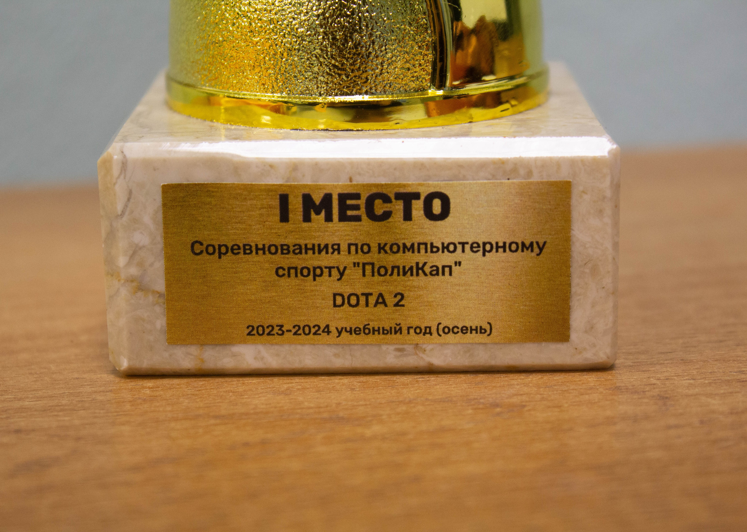 Polycup. Карпогоры, Санкт-Петербург