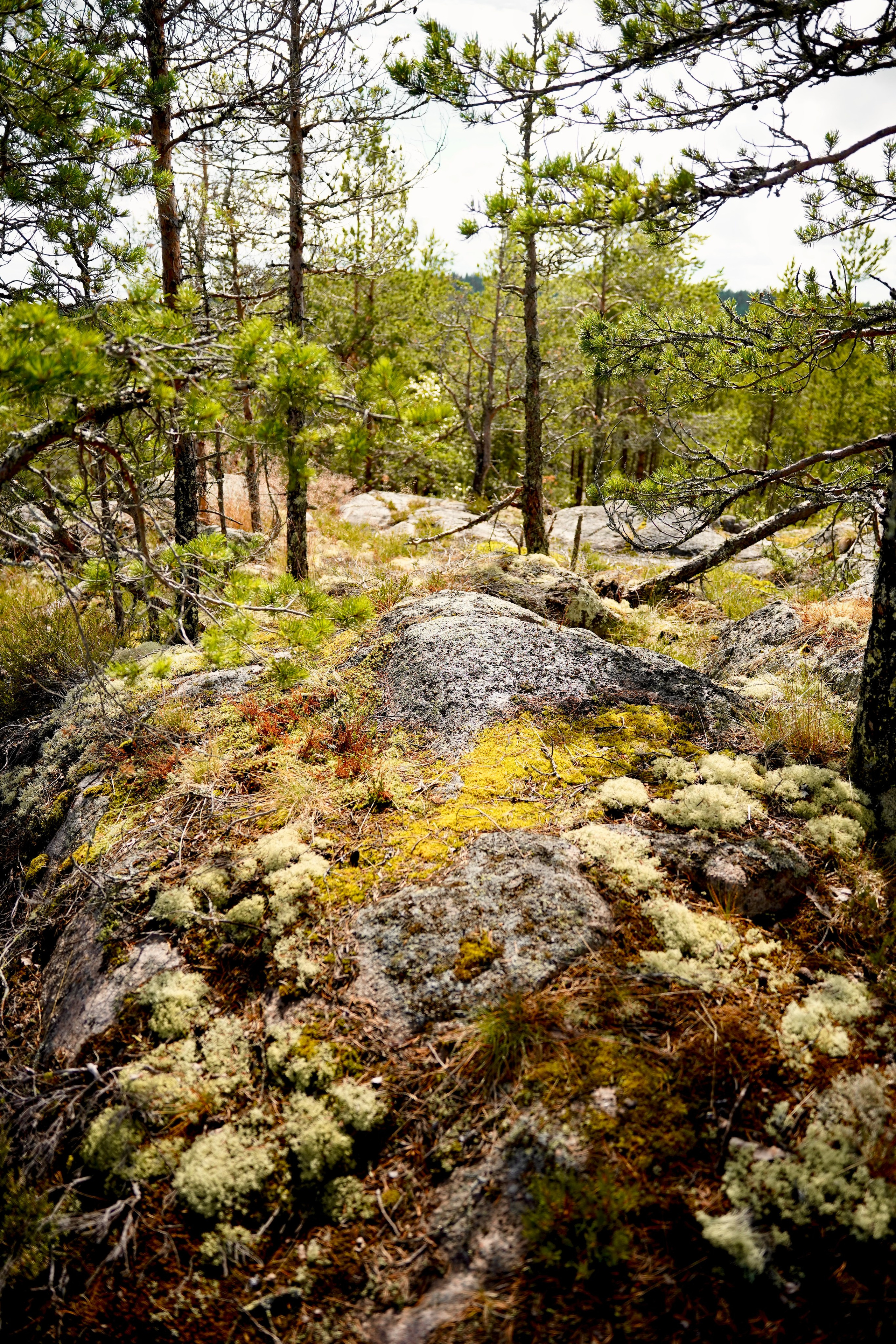Ладога 2024. Семейный и детский фотограф Александра Гвоздикова