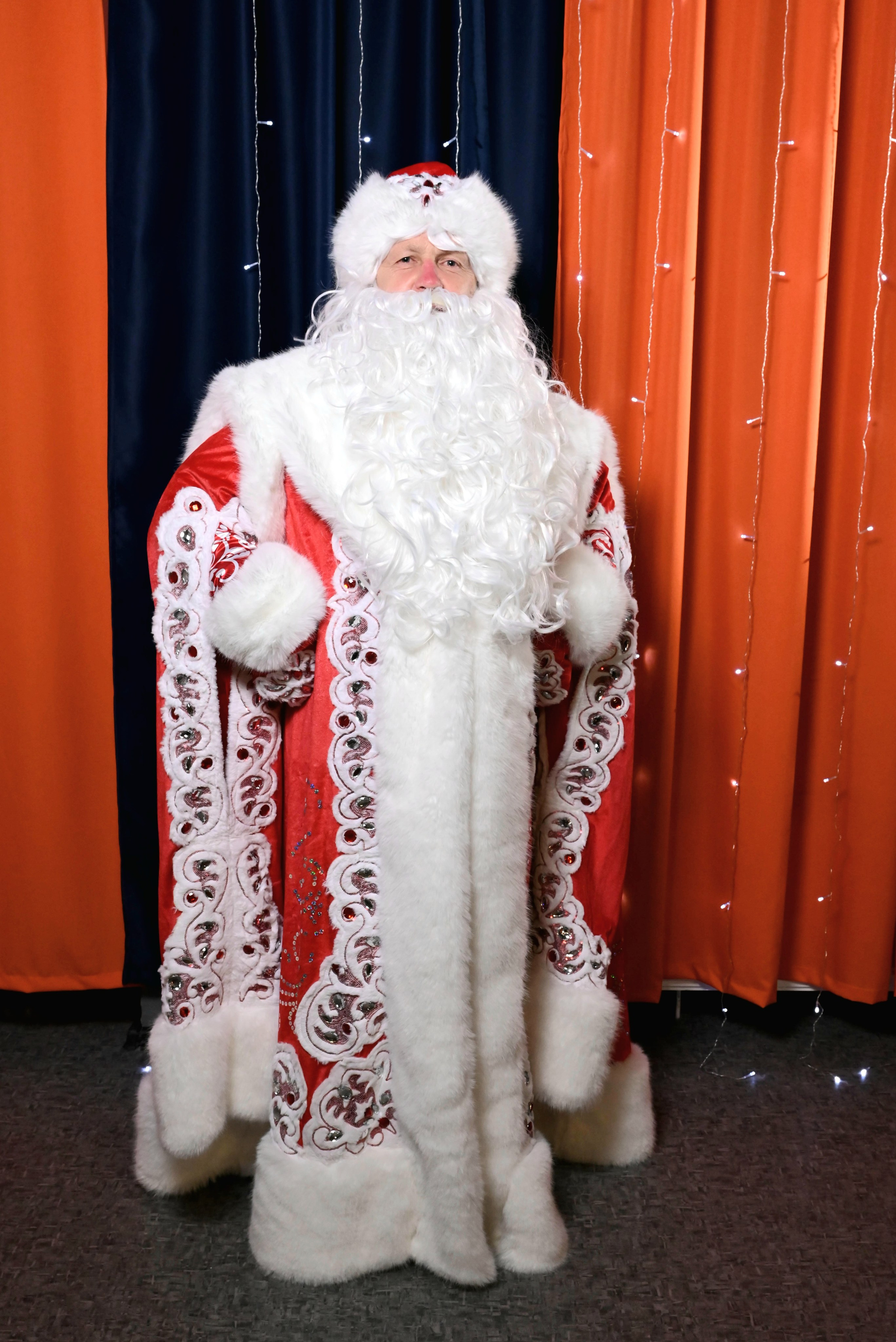 Дед Мороз и Снегурочка. Девятое королевство