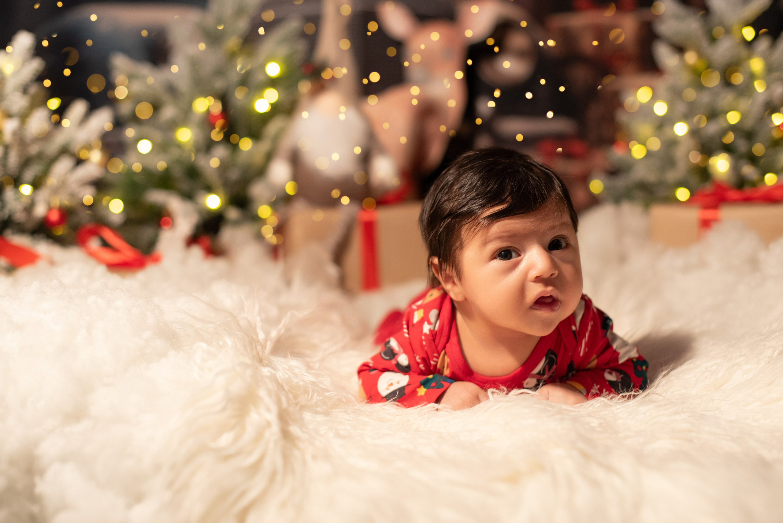 Новый год. Фотограф новорожденных и беременности Сергиев Посад Усачева Ирина