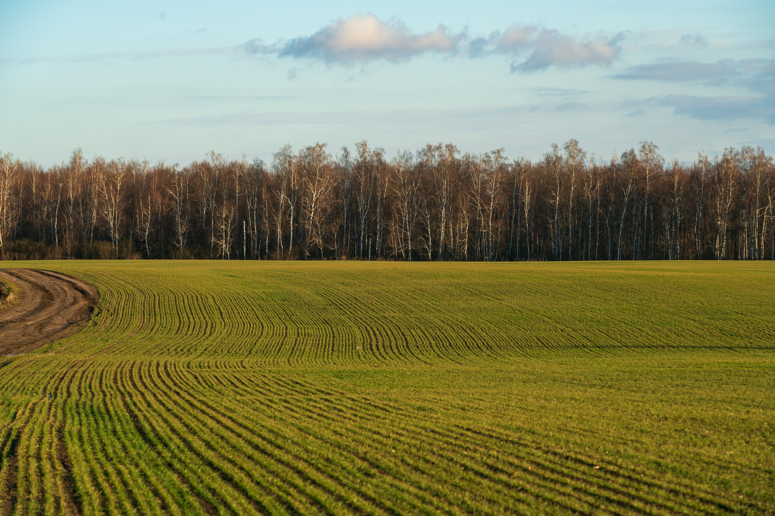 Красивая Меча. Фотограф и видеооператор в Туле | Даниил Рыбак