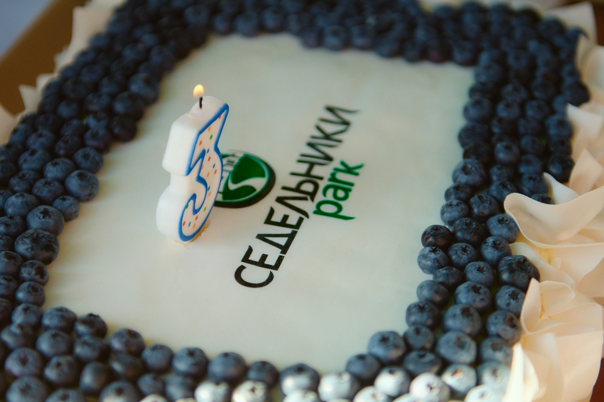 Седельники Park. Фотограф Роман Арыкин Екатеринбург