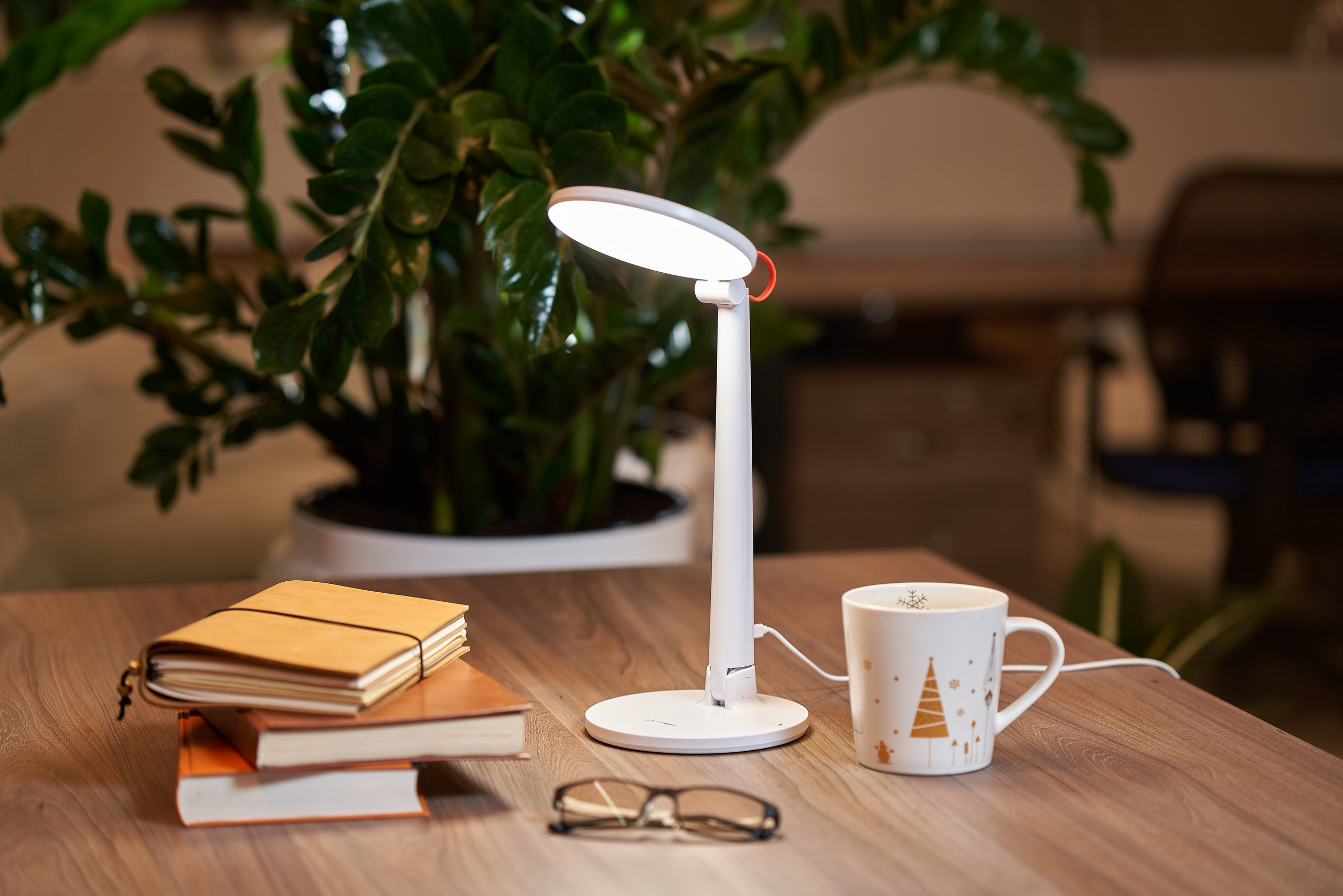 Фото. Kurochka.production фото и видео для бизнеса в Москве