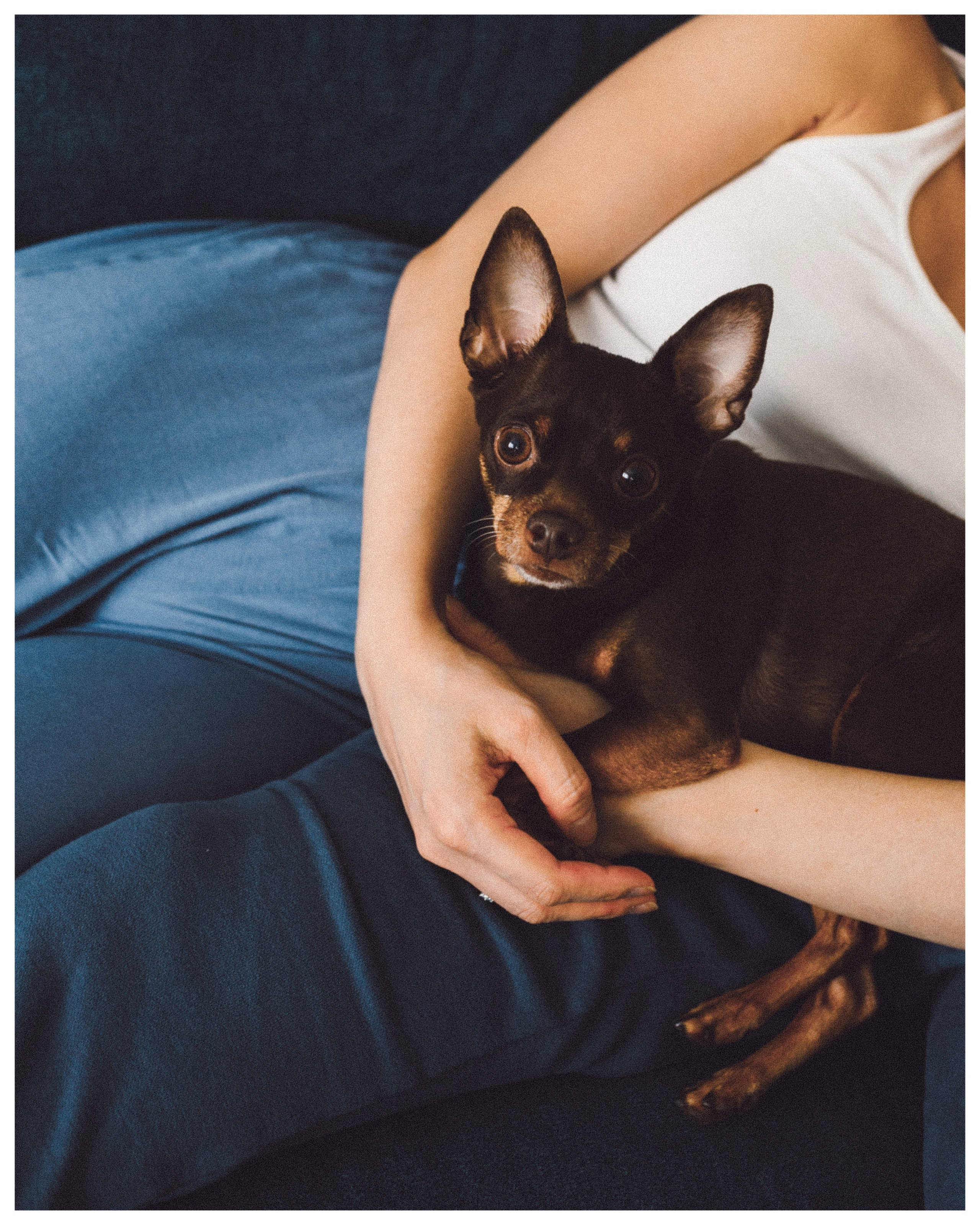 Лавстори дома. Женский и лавстори фотограф в Москве Елена Аксютко
