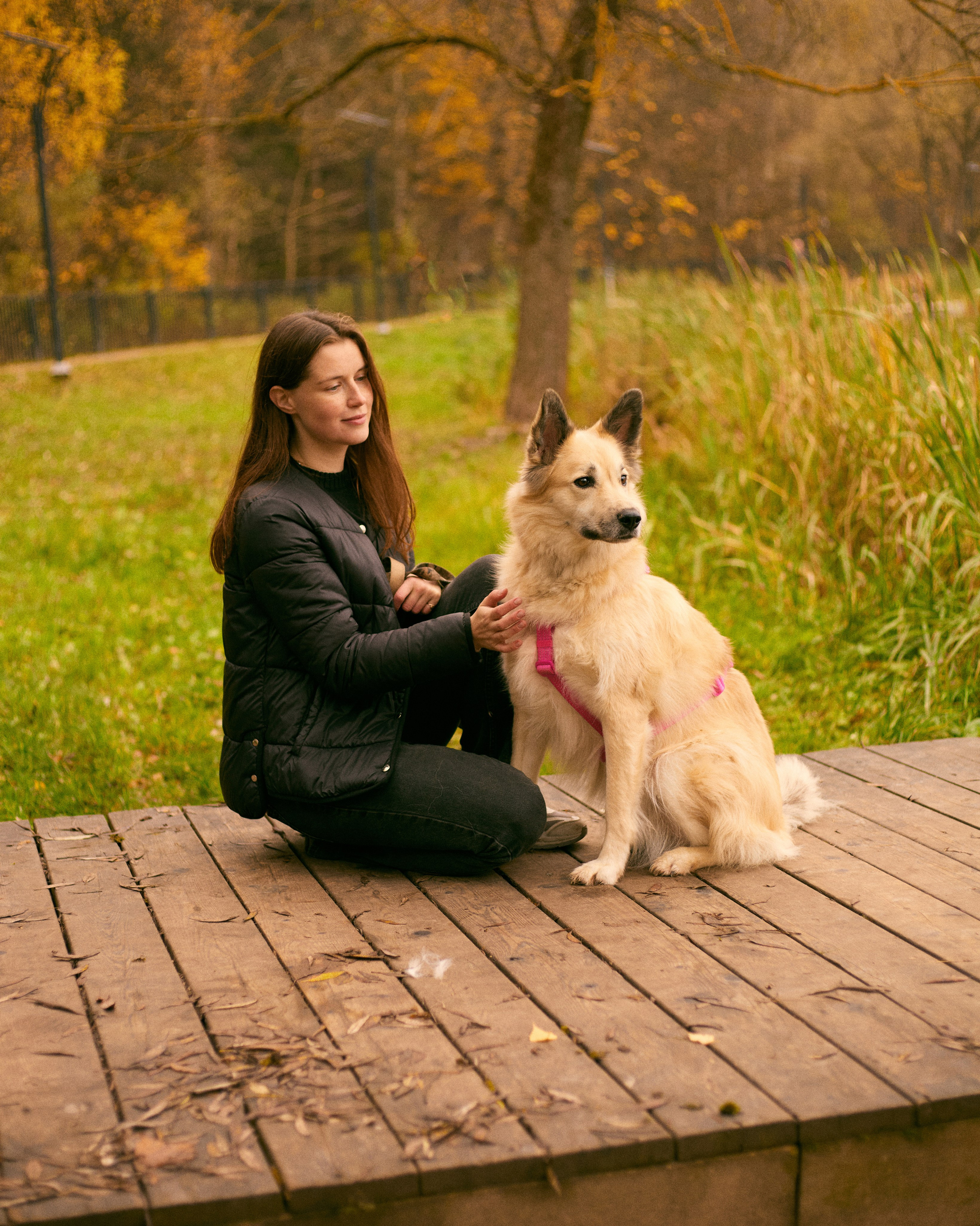 С животными. Главная