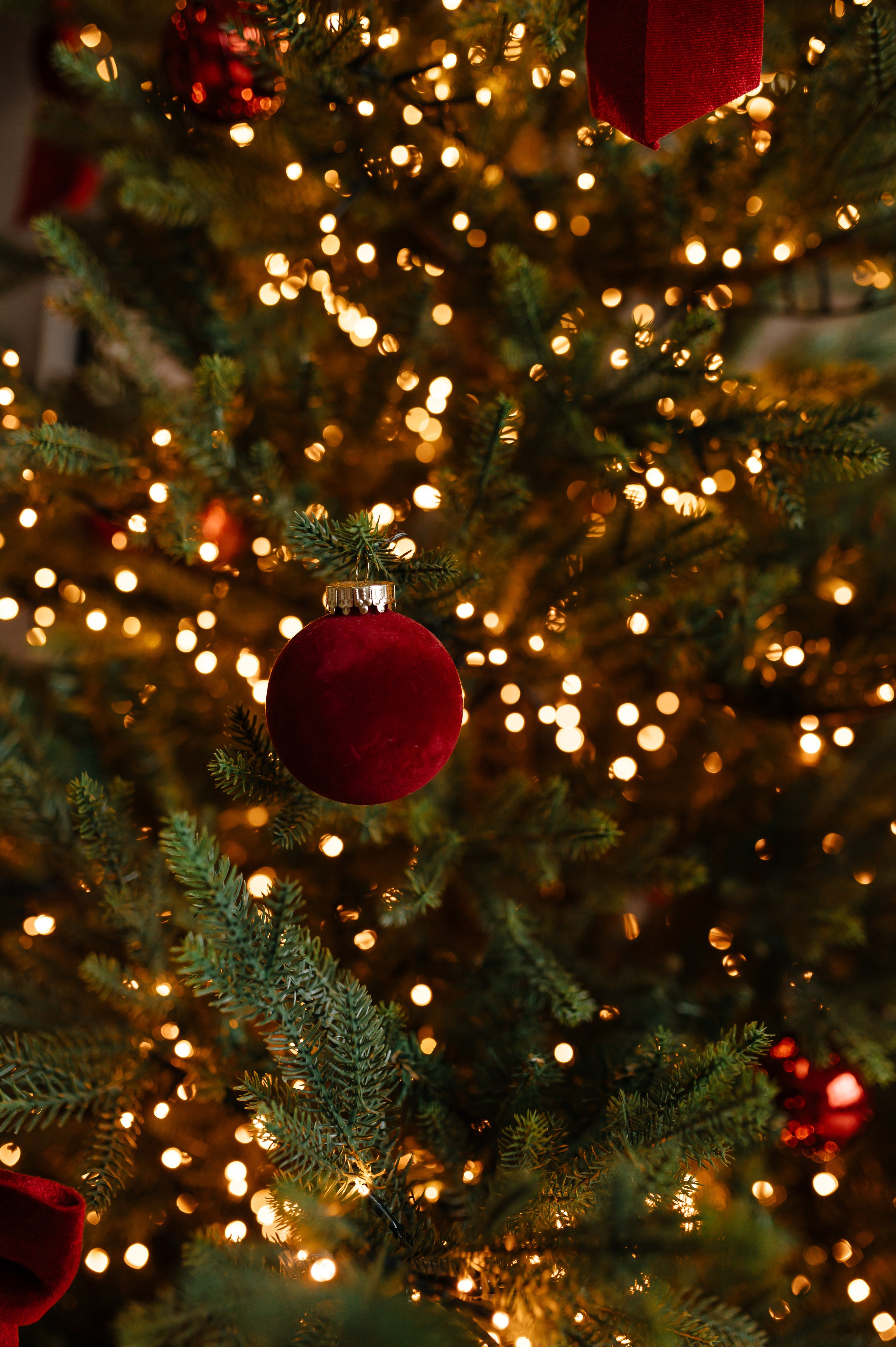 Веселая семья. Фотограф Минск Катерина Кирик