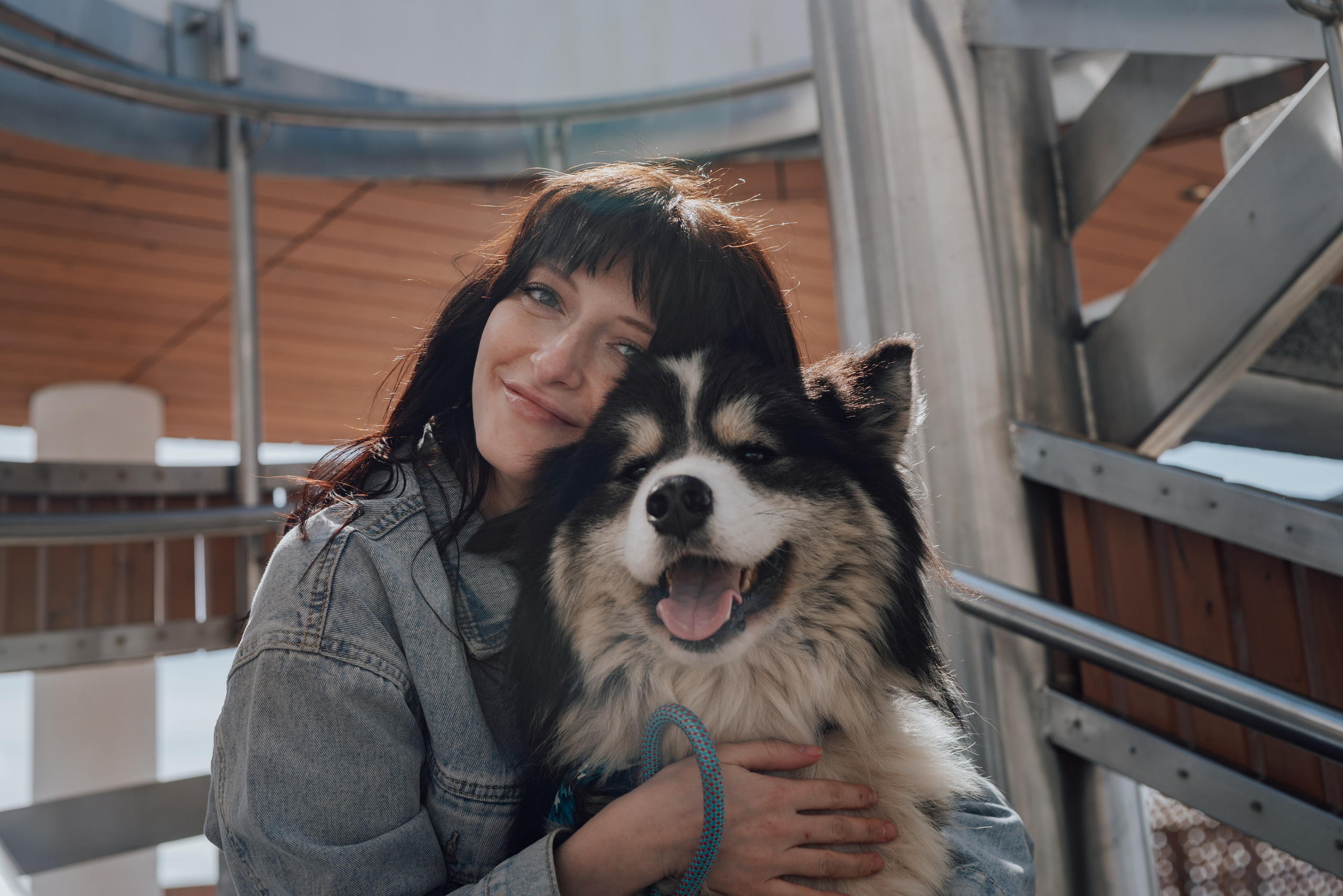 Фотодень с хаски. Фотограф в Санкт-Петербурге и Ленинградской области