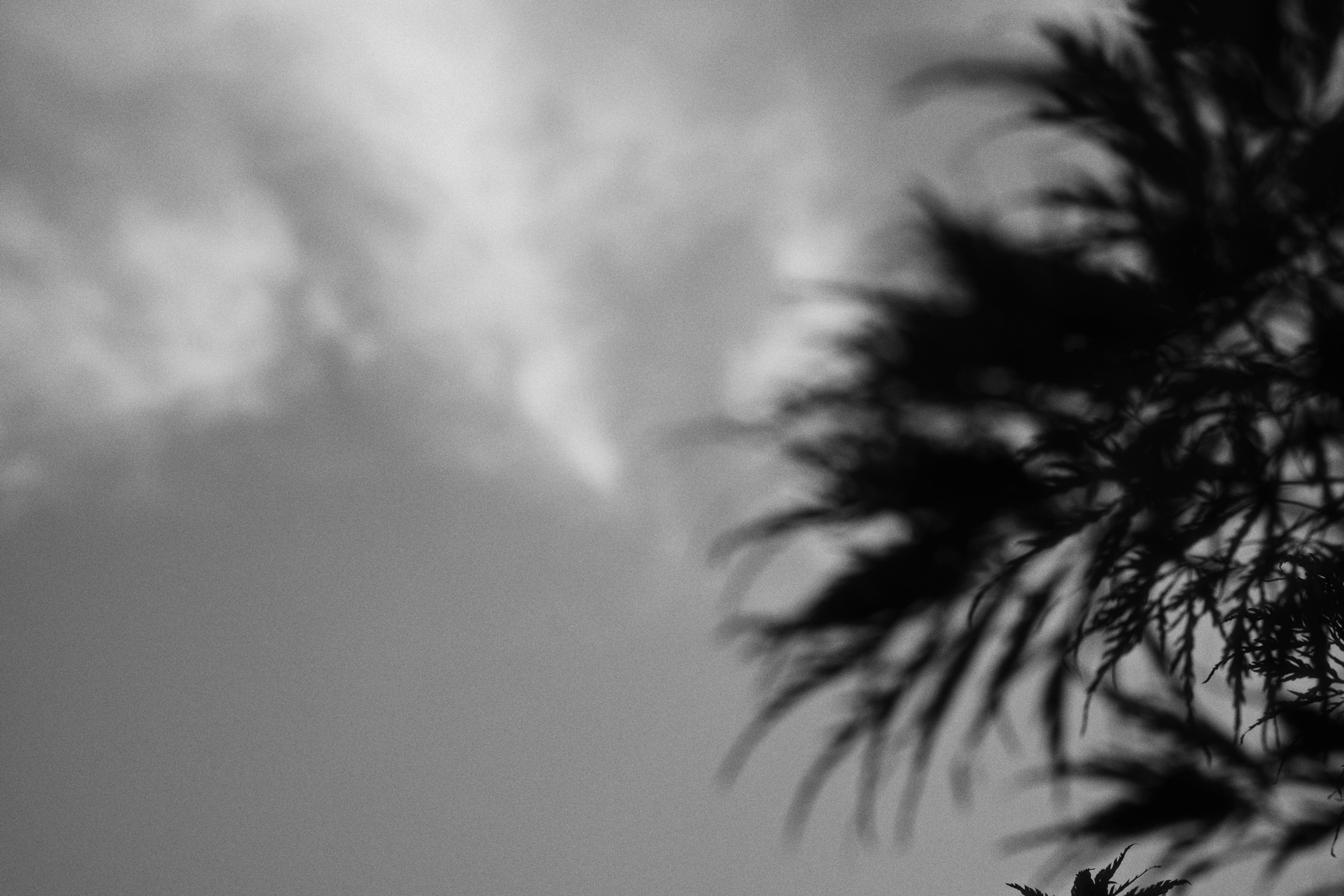 Ryotei x kudo. Фотограф Юрин Евгений