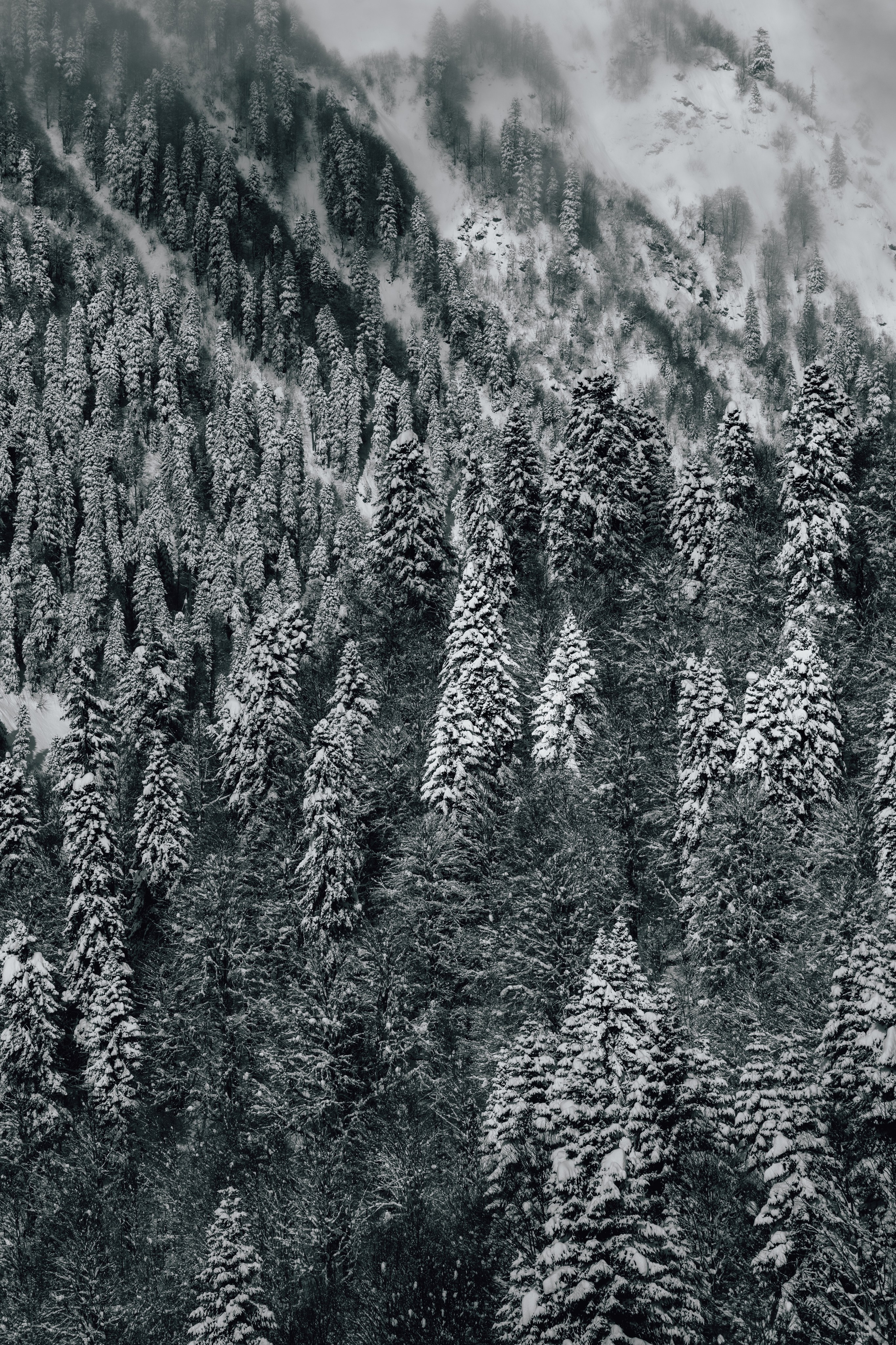 Путешествия и пейзаж. Репортажный фотограф в Красной Поляне и Сочи Павлюченко Екатерина