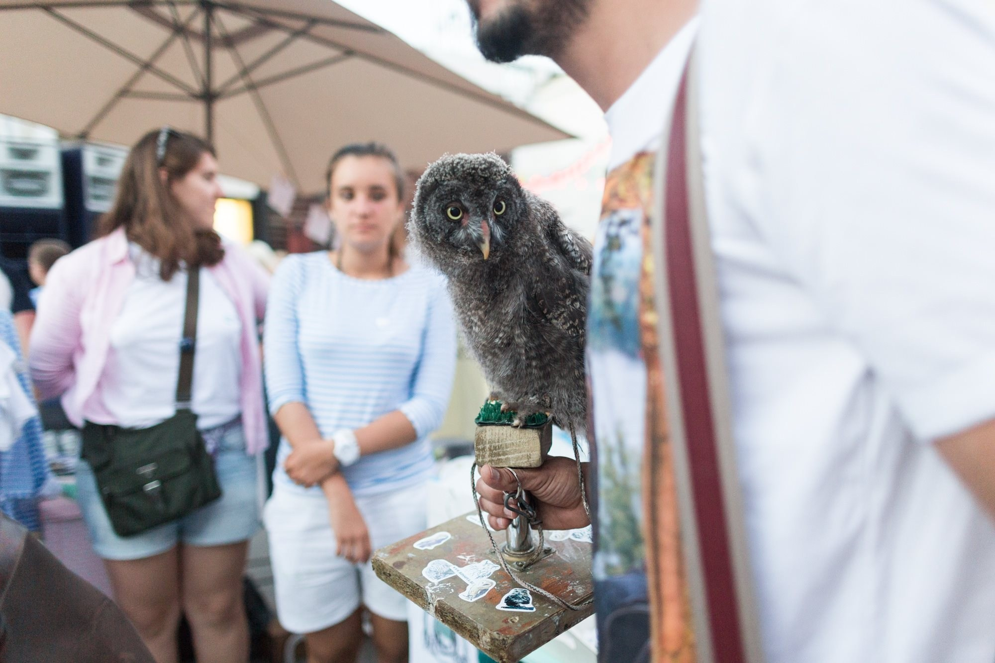 17 июля 2016 на Стрелке / фото Егор Слизяк. Фотоотчеты «Ламбада-маркета»