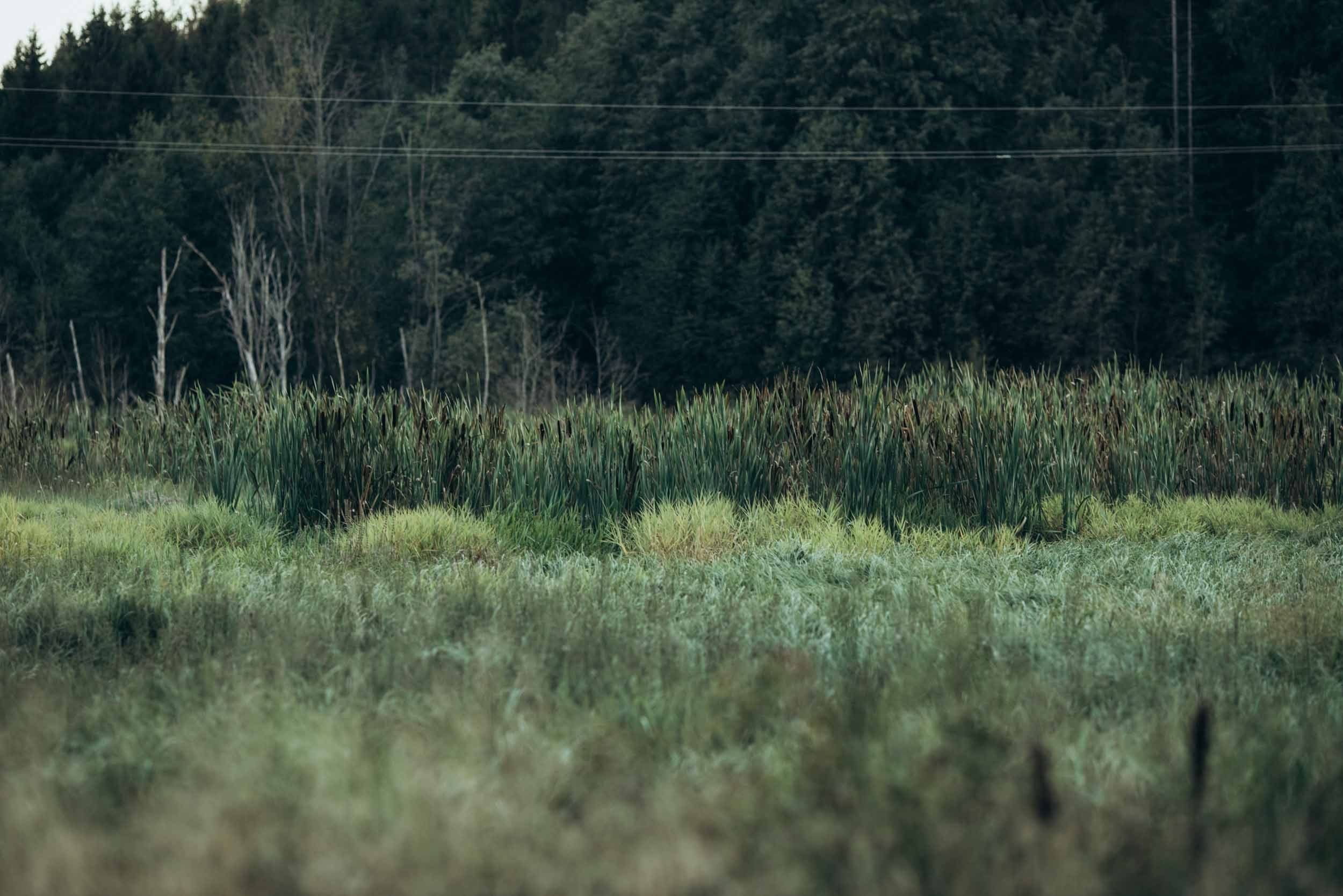Природные пейзажи. Наталия Клевинскас портретный фотограф в Костроме