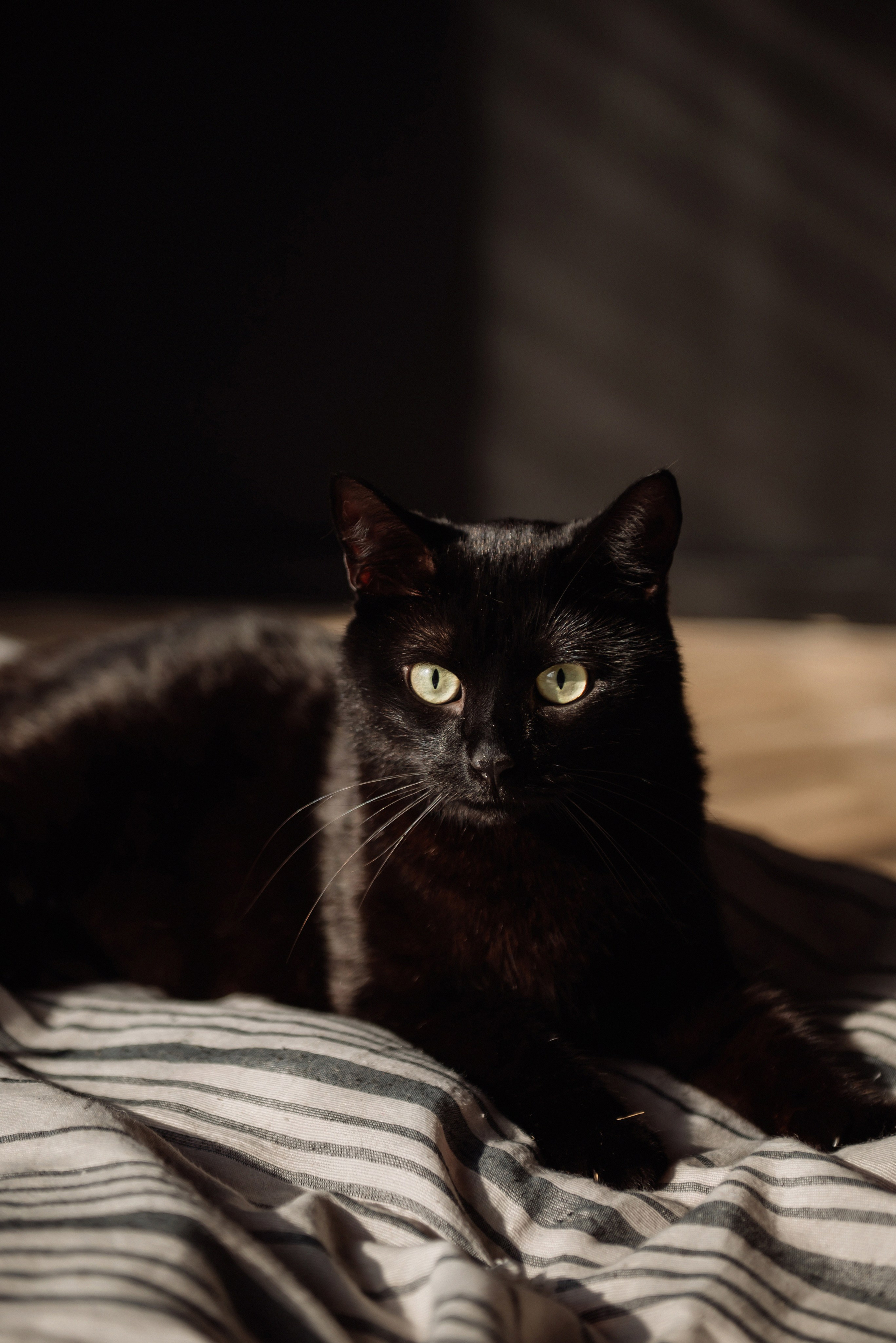 Любовь. Фотограф в Волгограде и Волжском