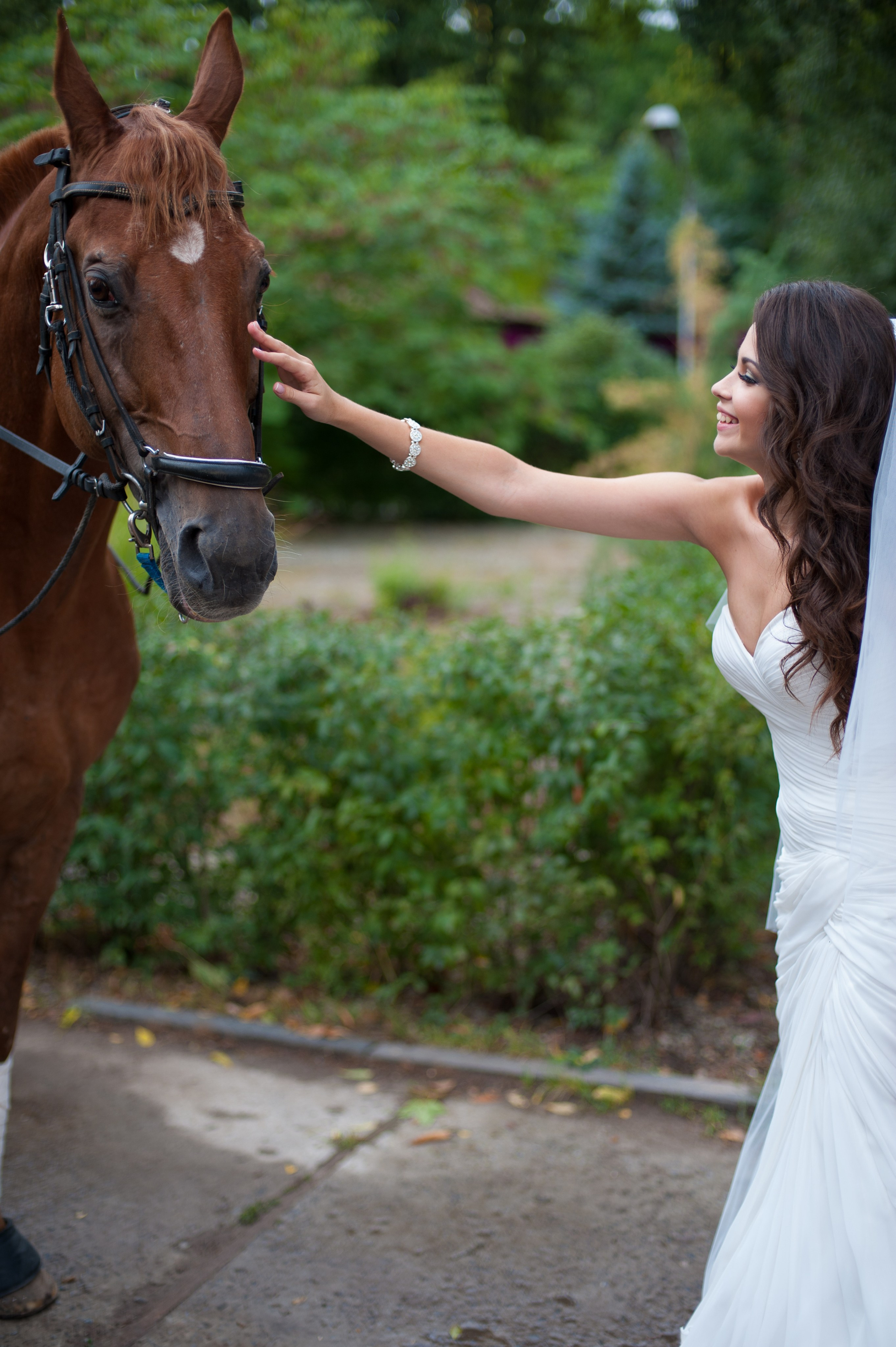 Вера и Игорь. Свадебный фотограф в Ростове-на-Дону Владимир Пешков