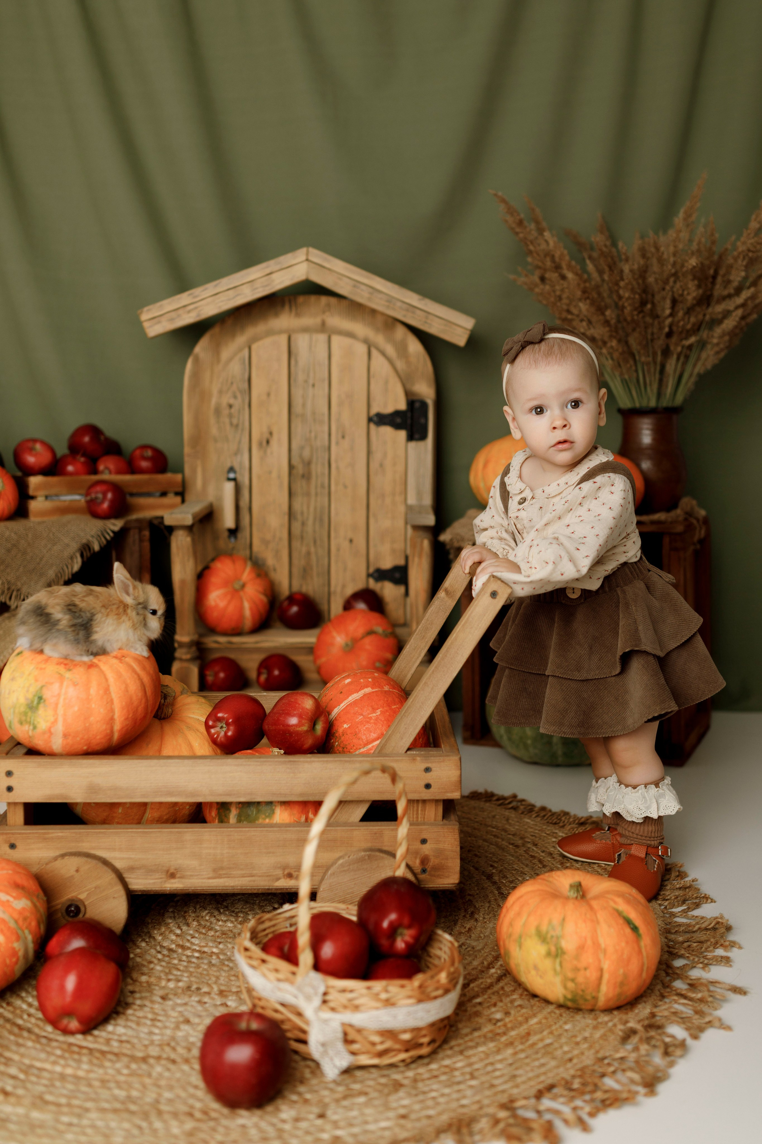 Фотопроекты. Фотограф новорождённых семейный фотограф Томск Елена Каплина