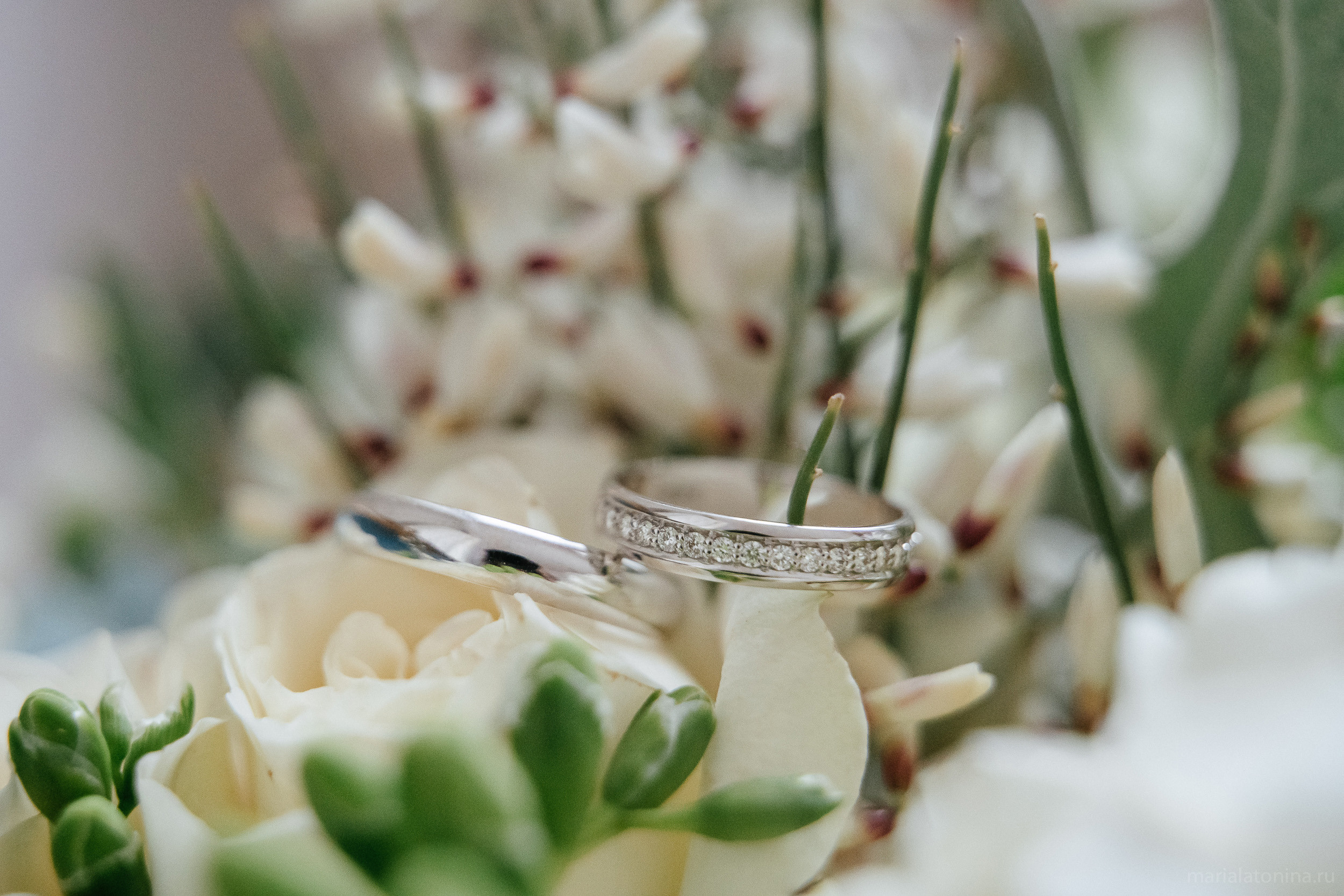 Свадьба зимой в Петербурге