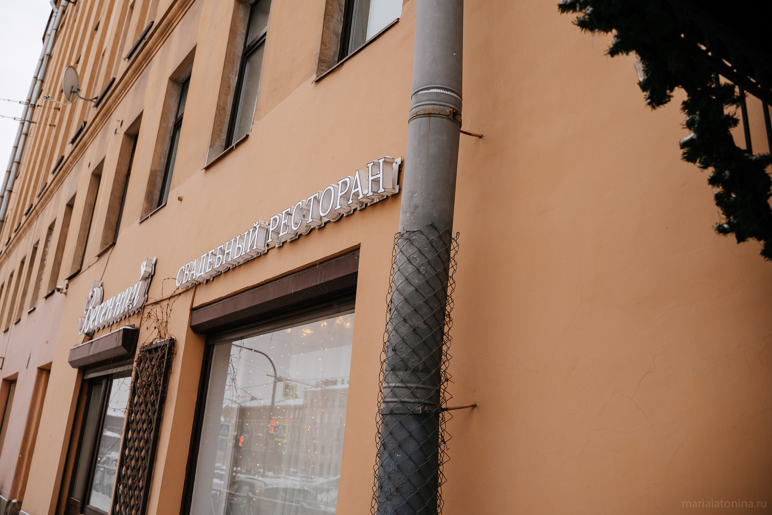 Свадьба зимой в Петербурге