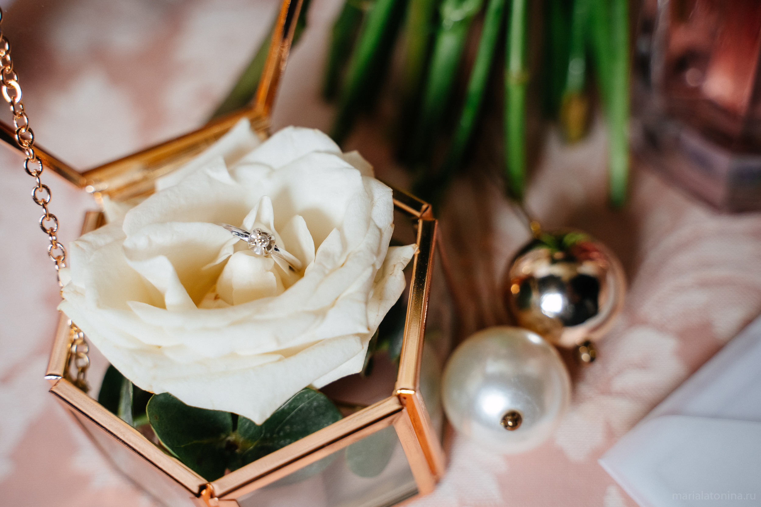 Свадебная съемка в Пушкине. Семейный и свадебный фотограф в Санкт-Петербурге и Москве